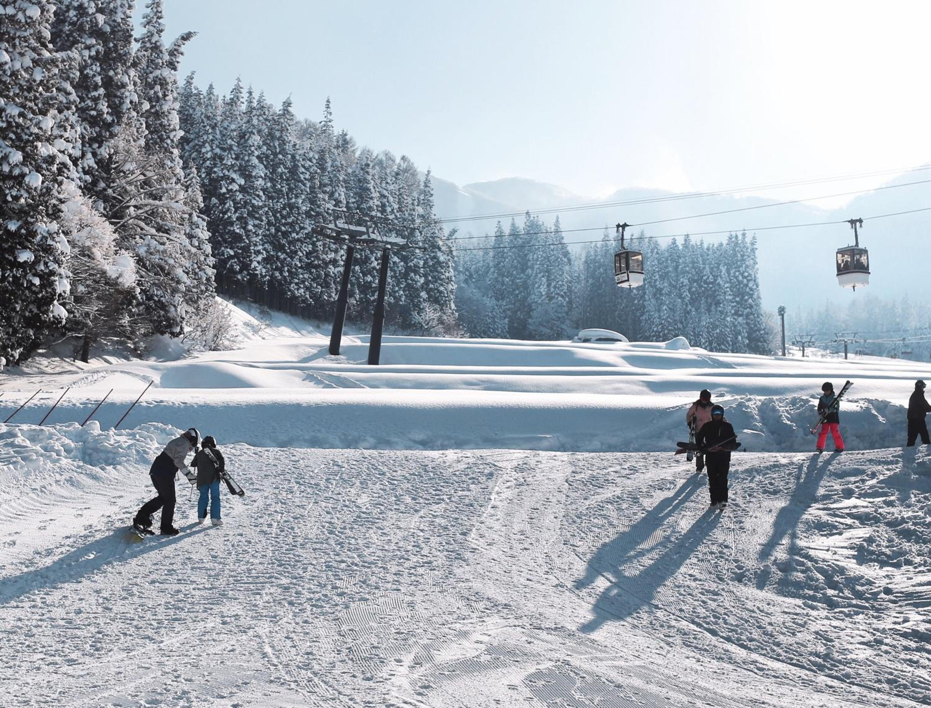 activities & amenities