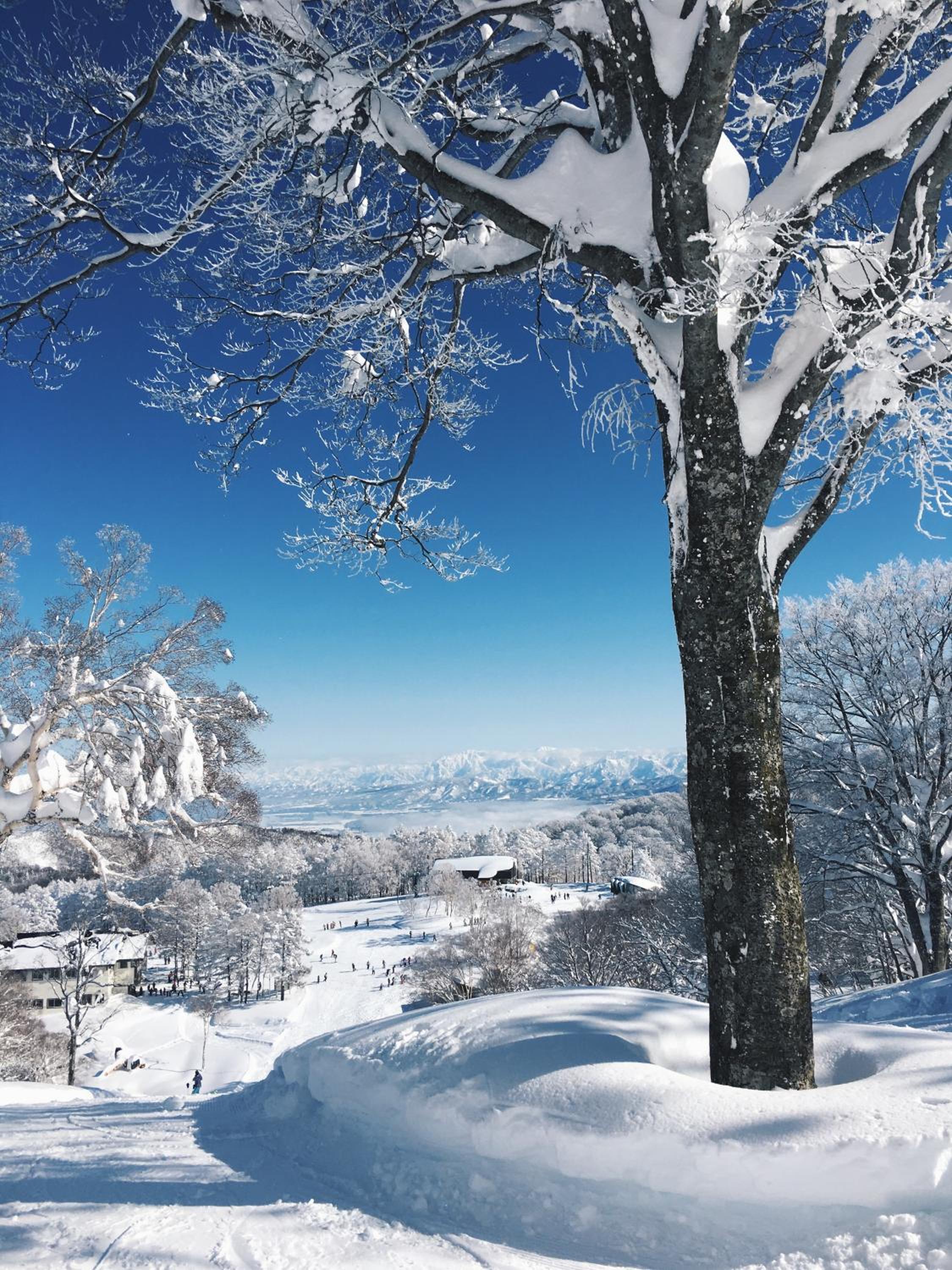 Nozawa Peaks view 5