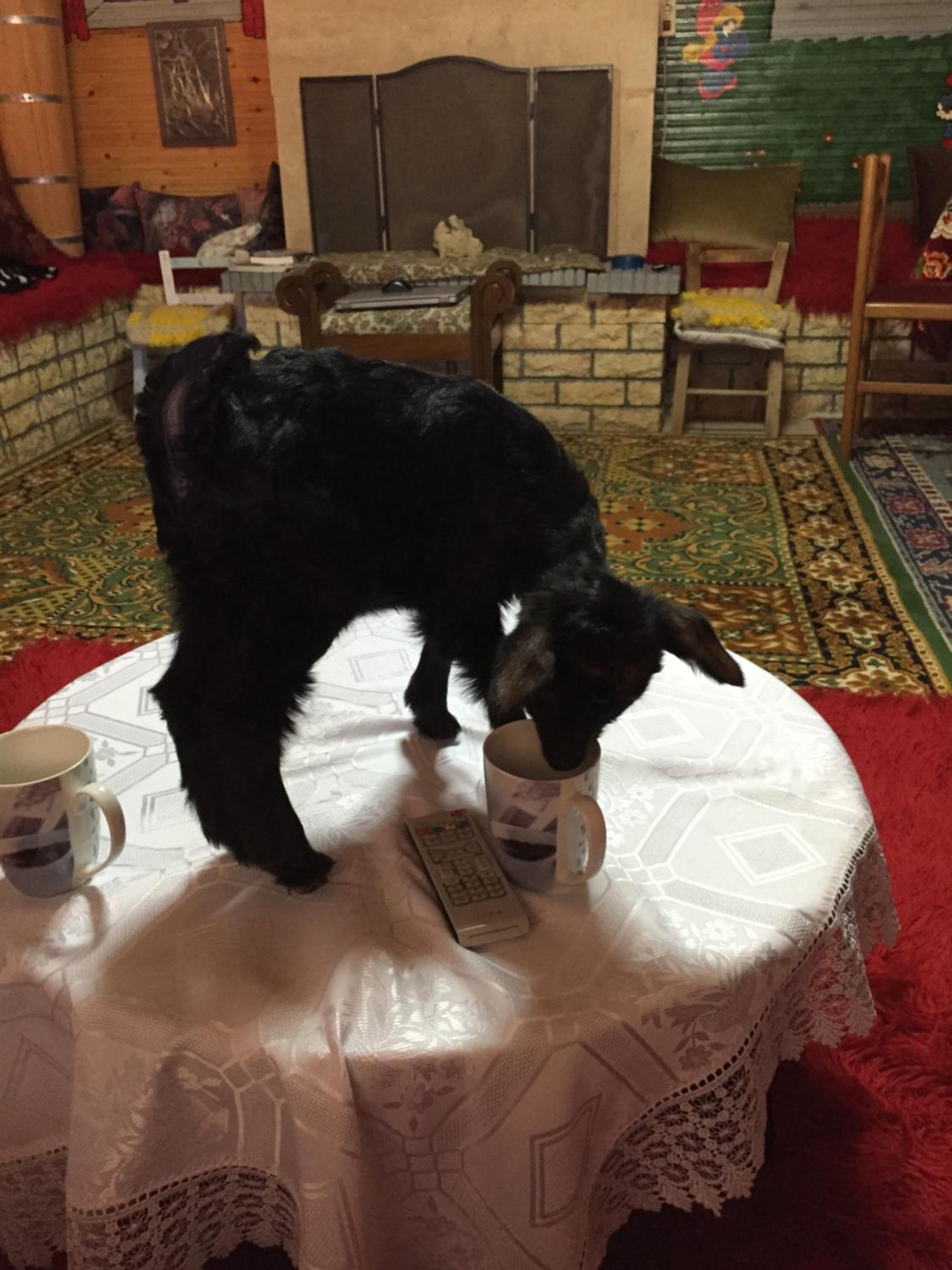 other