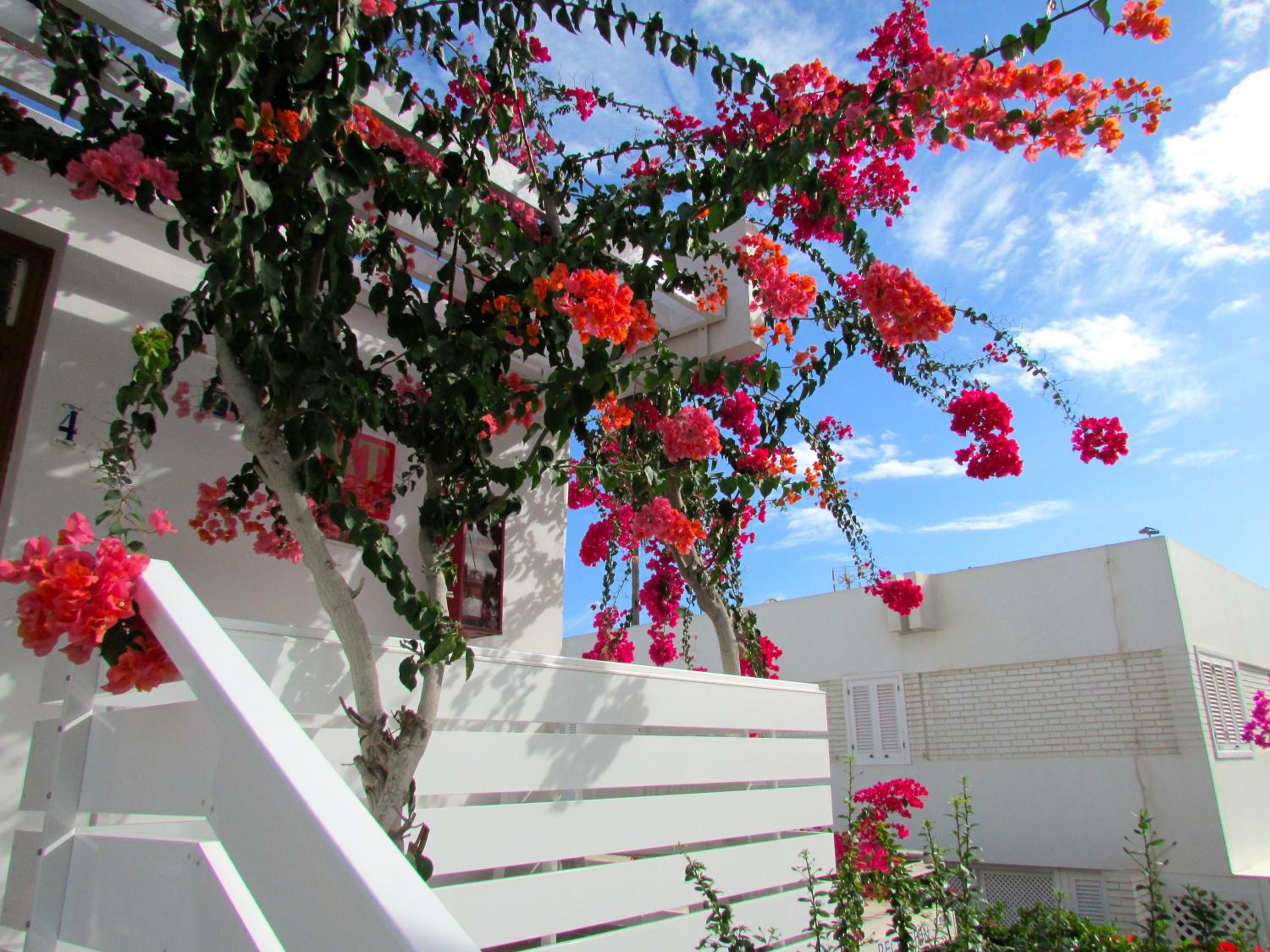 Apartamentos El Capricho