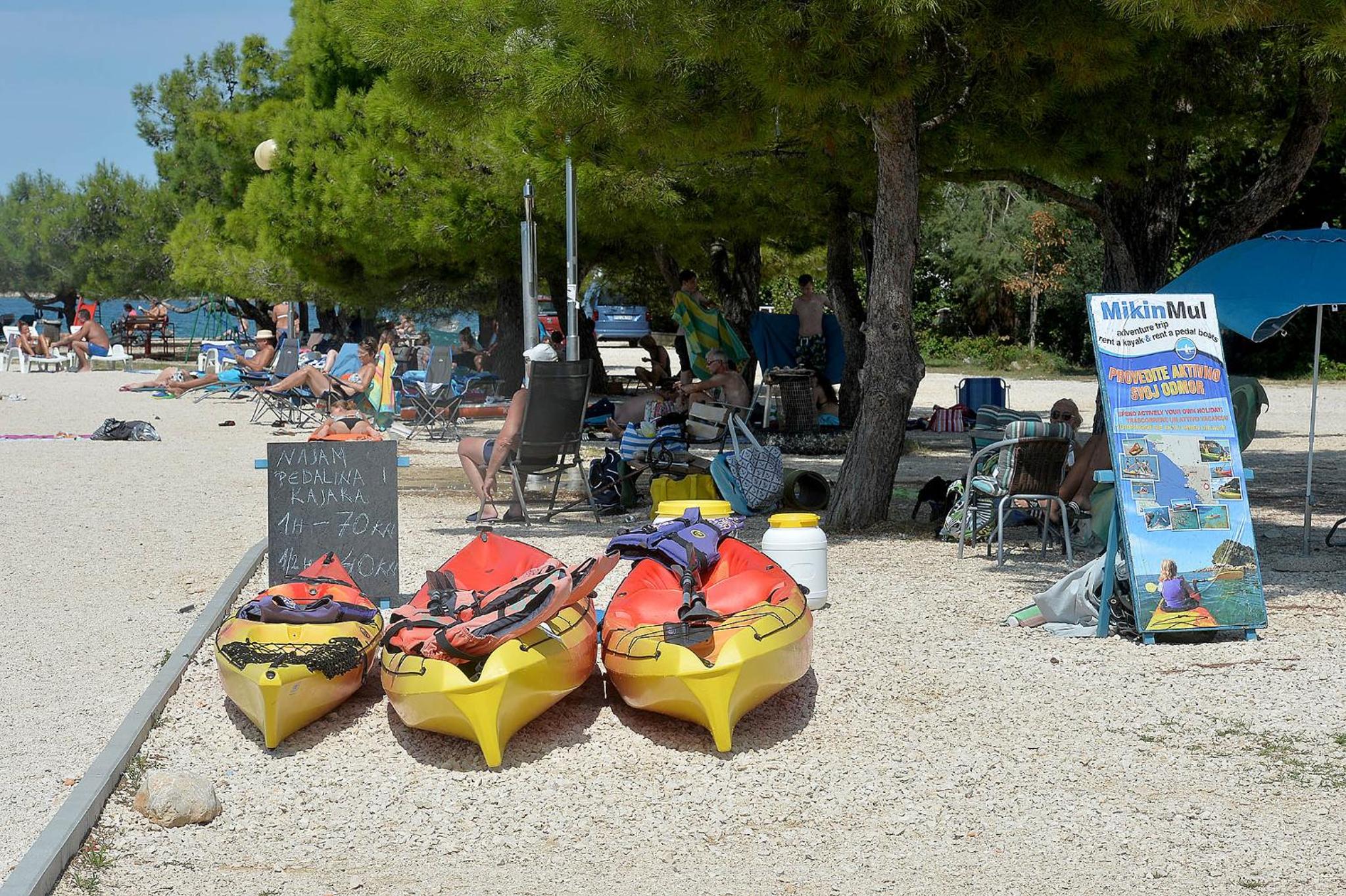 Photo 41