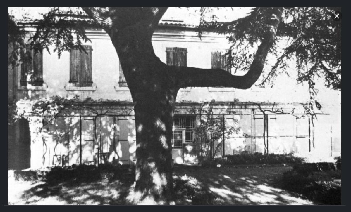 Photo 49