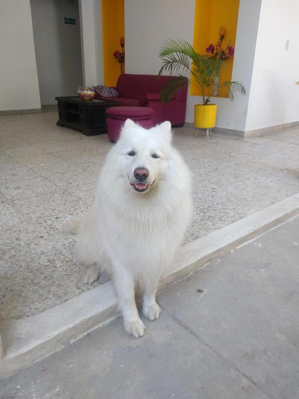 Casa de Luna