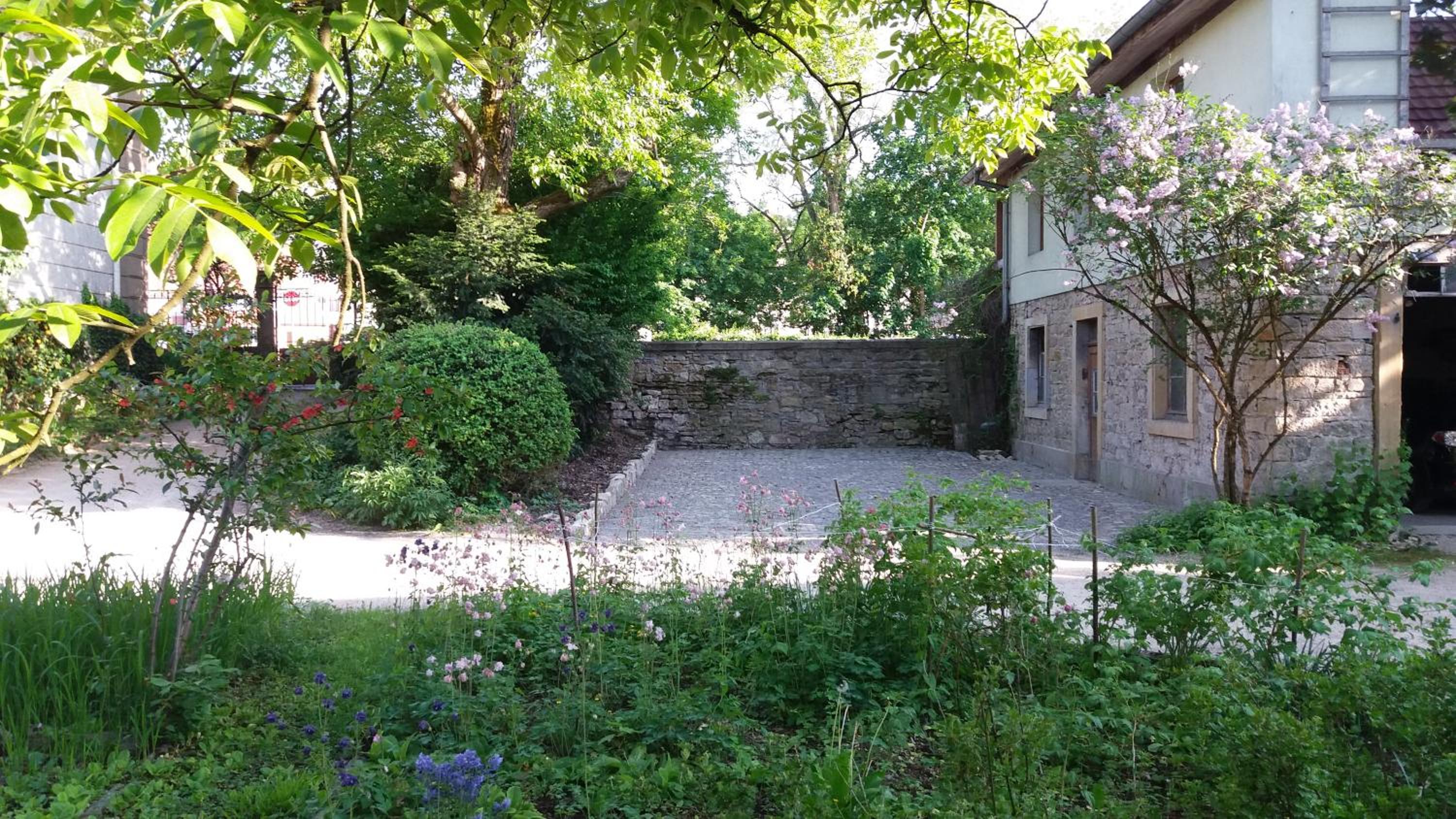 Photo 13
