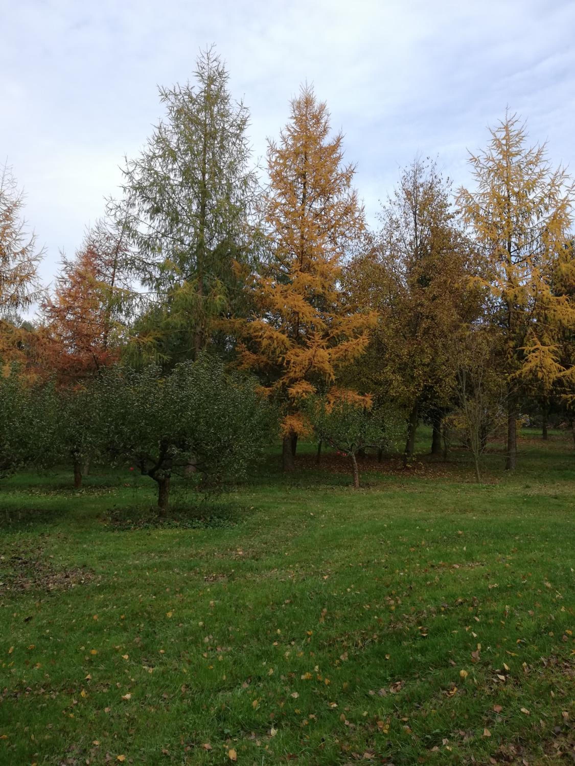 Photo 56