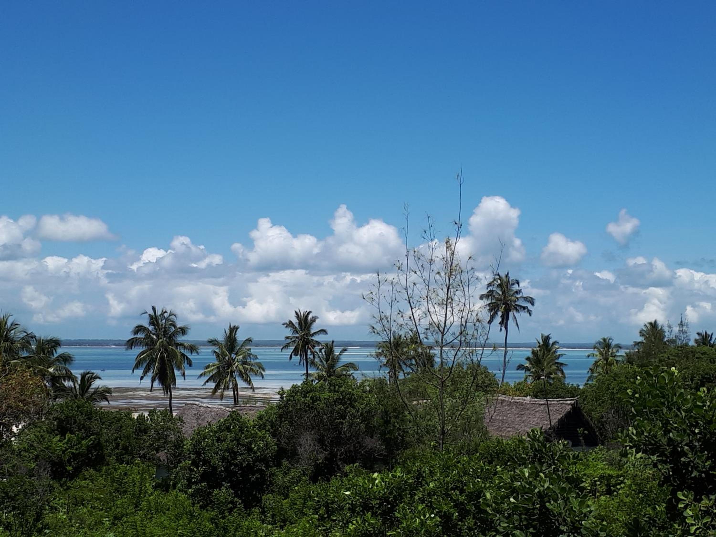 Jua Peponi view 5