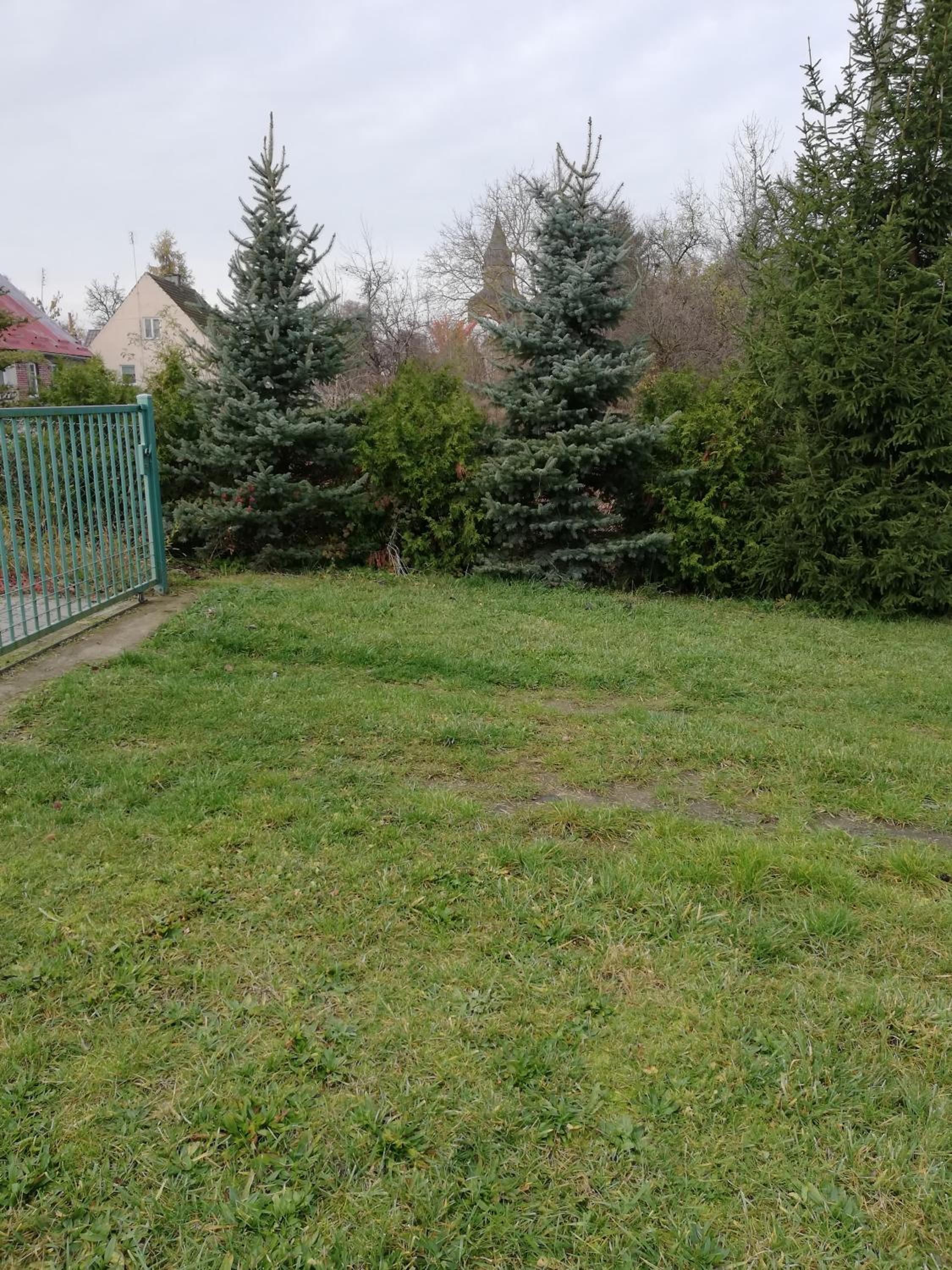 Photo 47