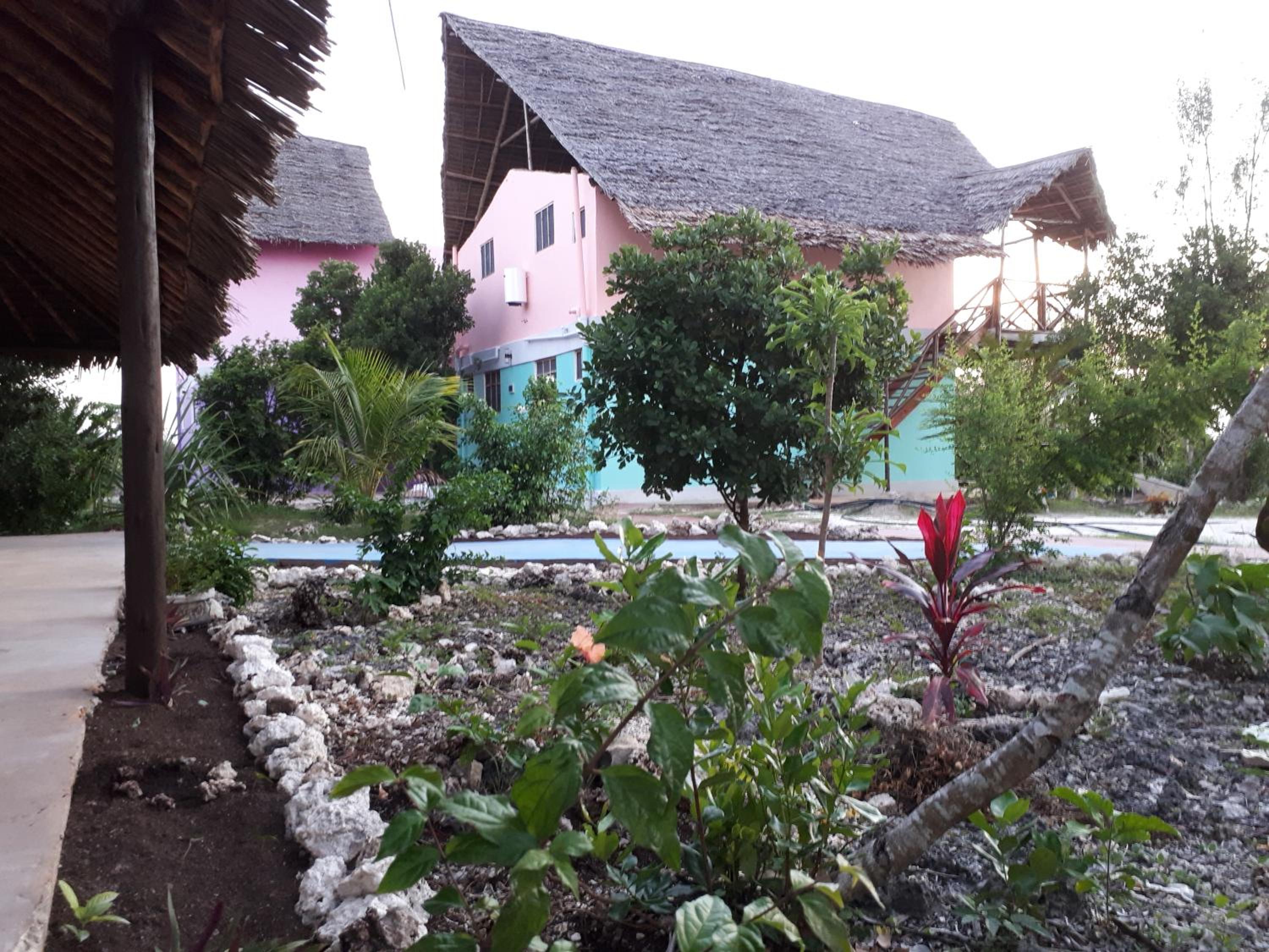Photo 41