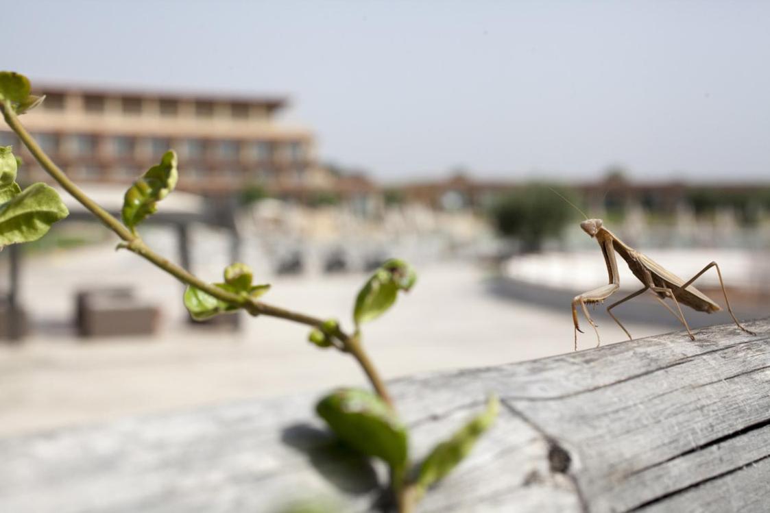 Eco Resort Dei Siriti