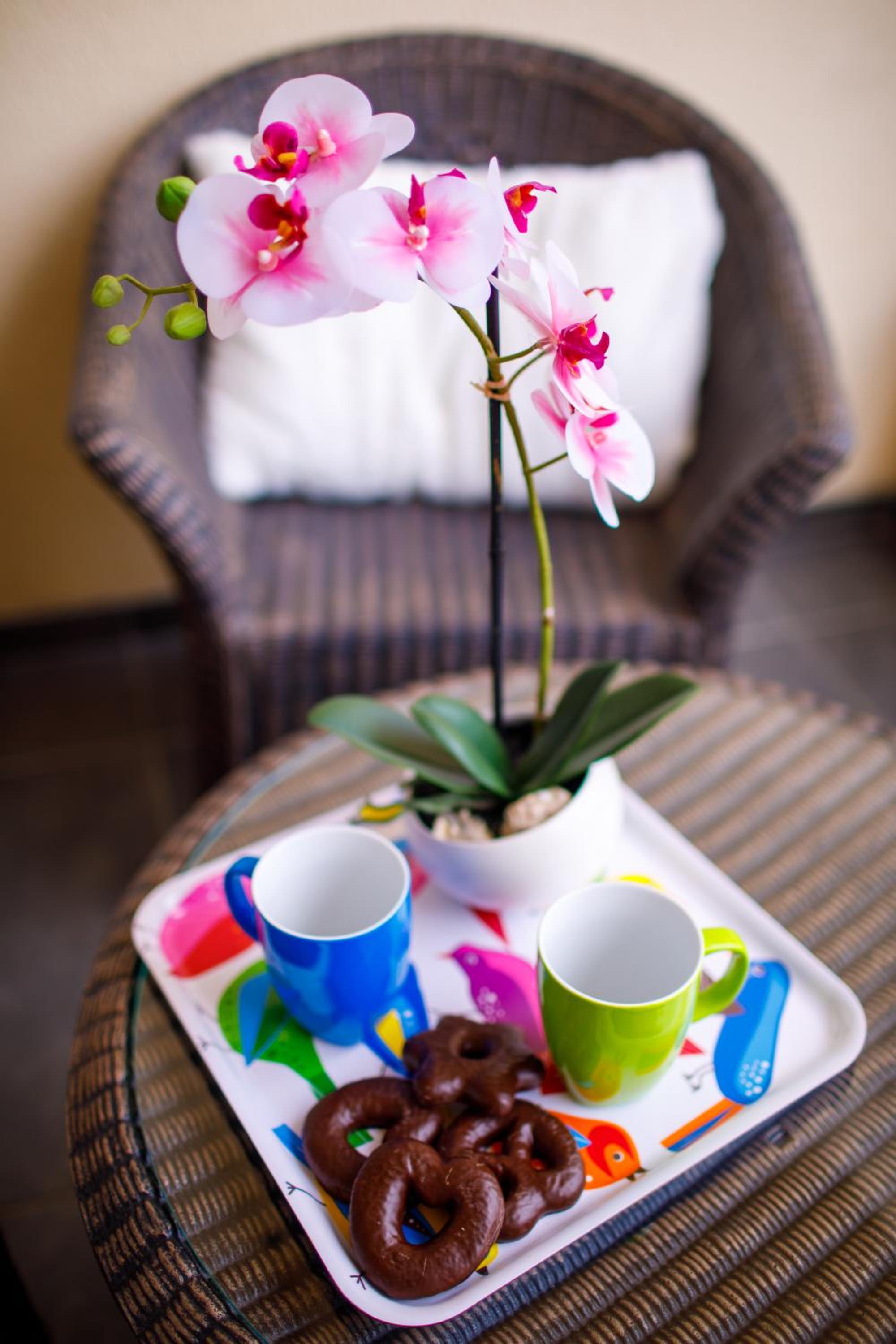 Apartman Niki