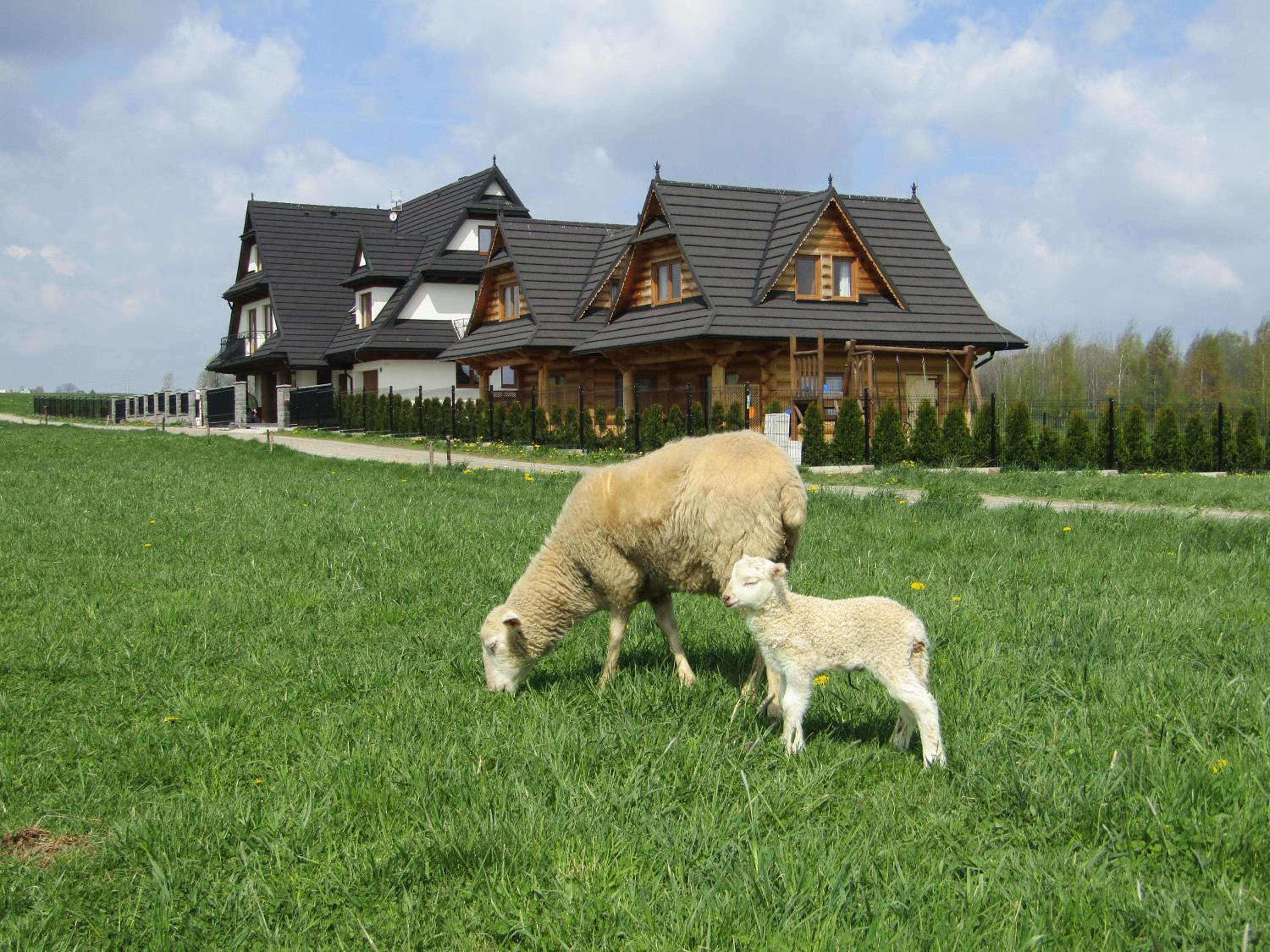 Domki Białka & Apartamenty view 5