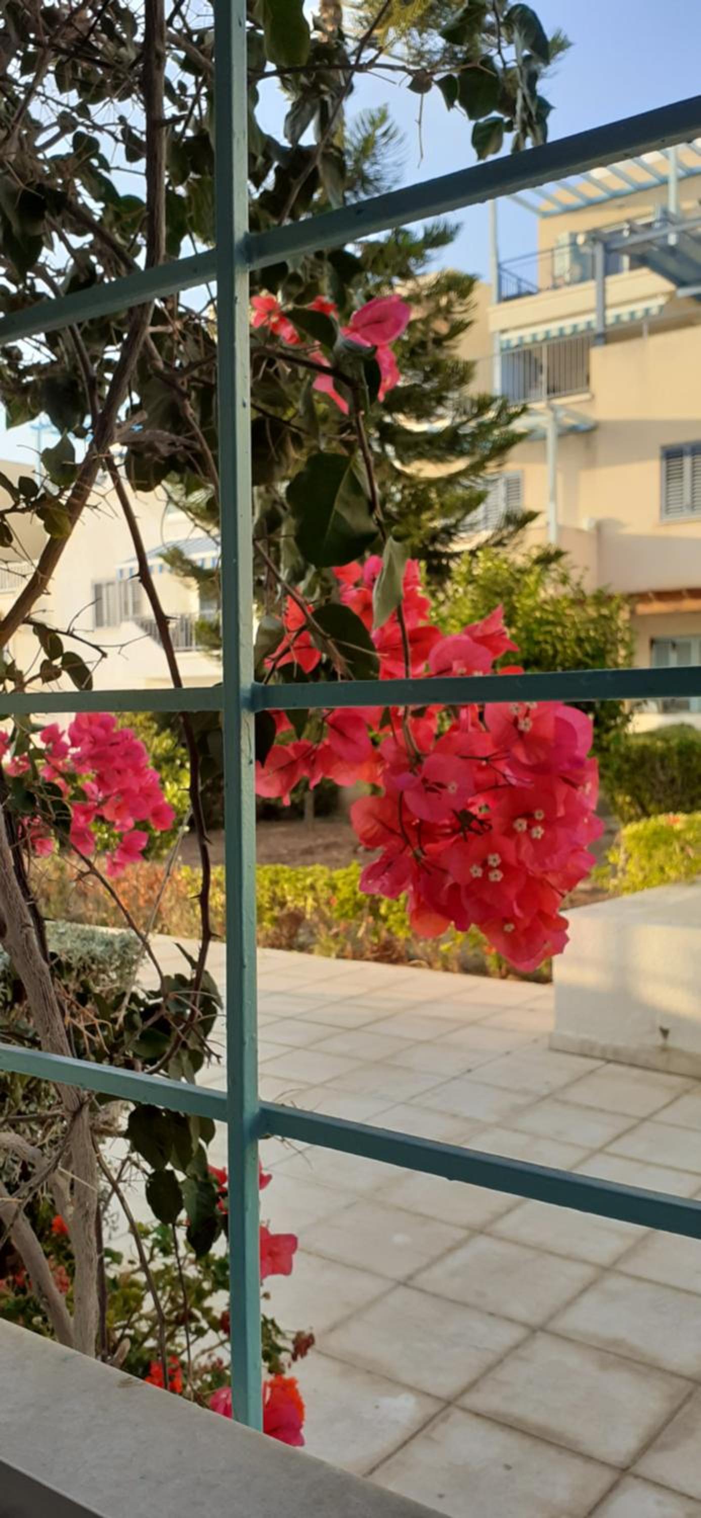 Pelagos Hill Apartment