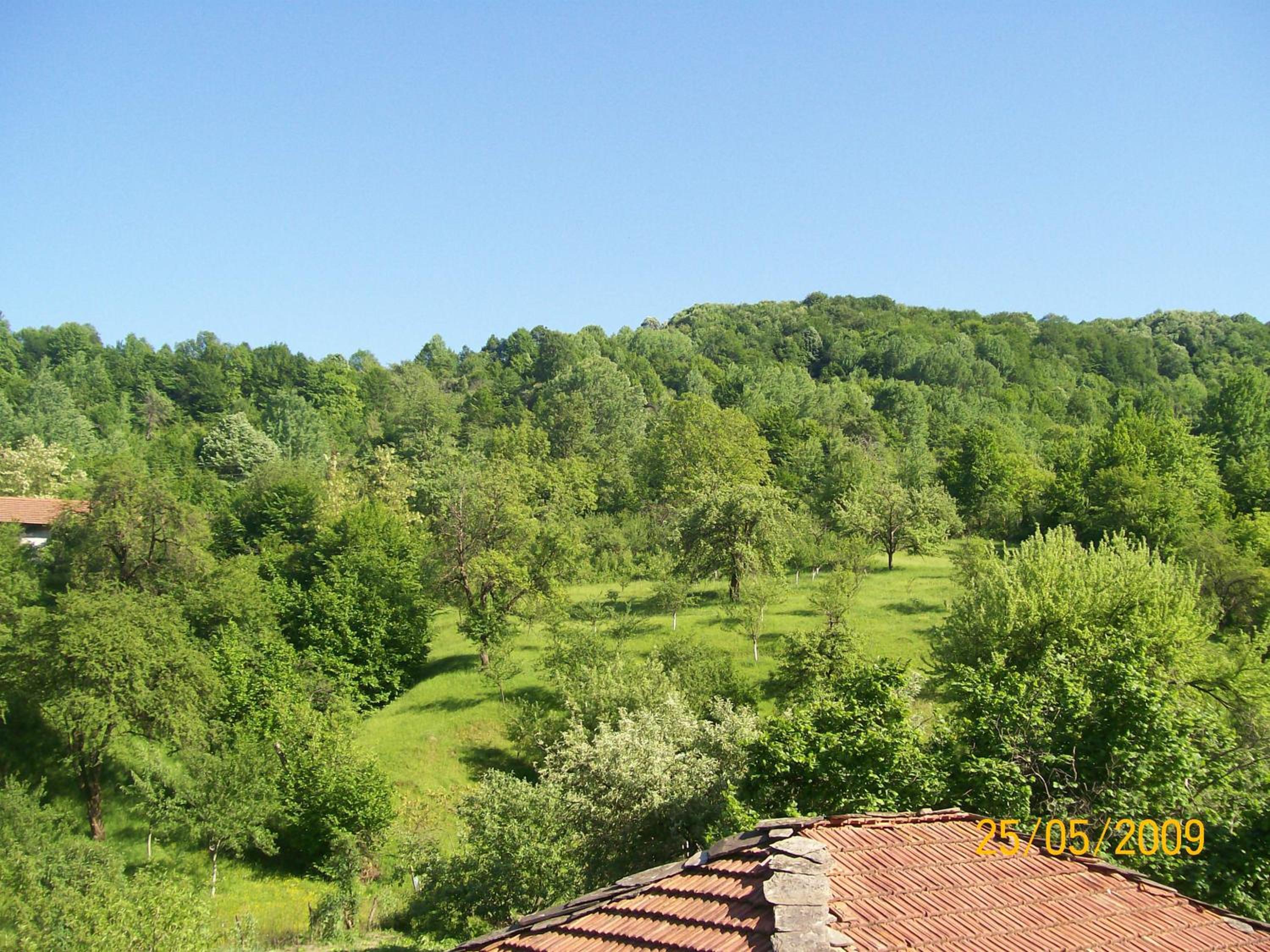 Hera Guest House