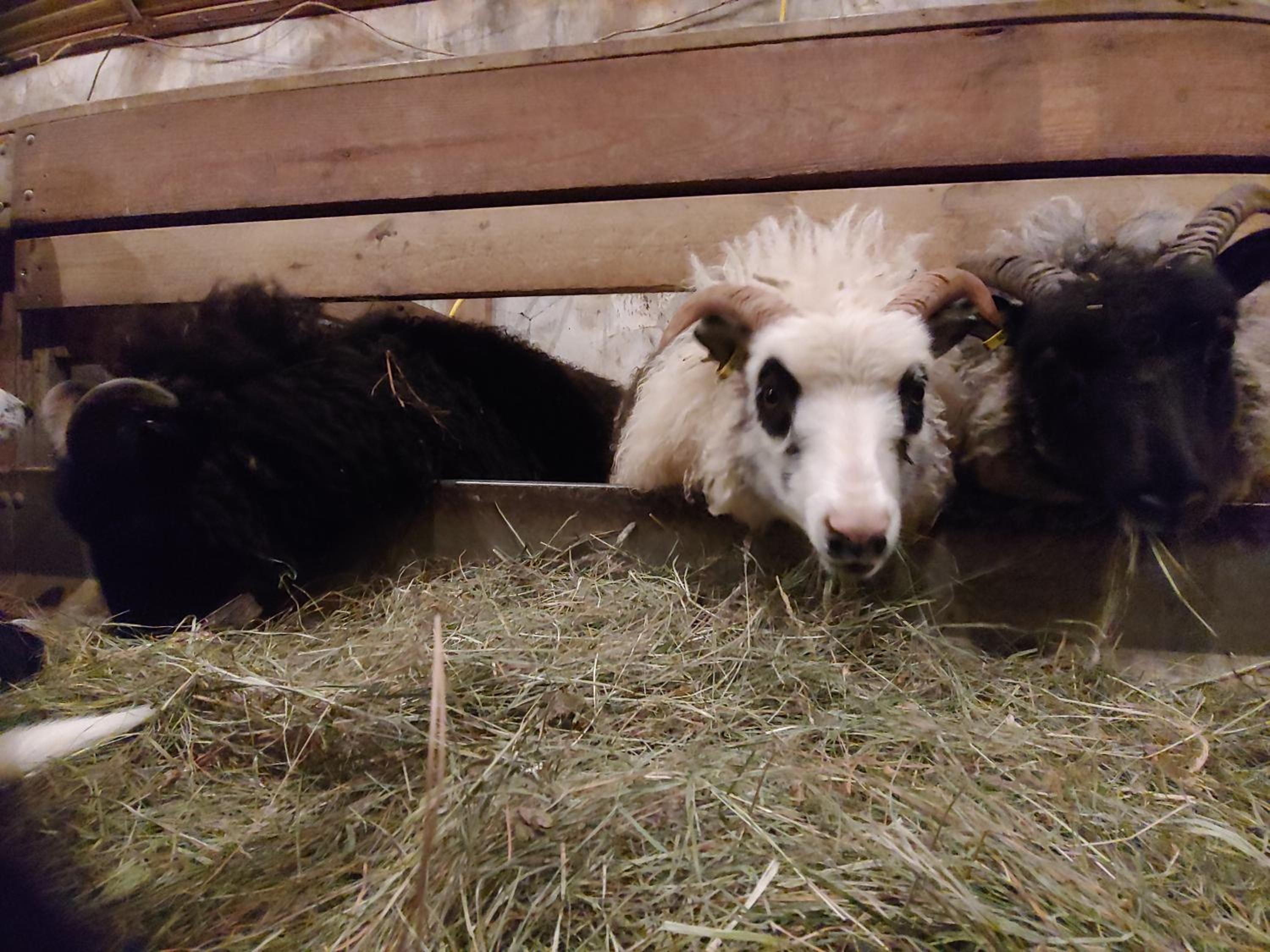 other
