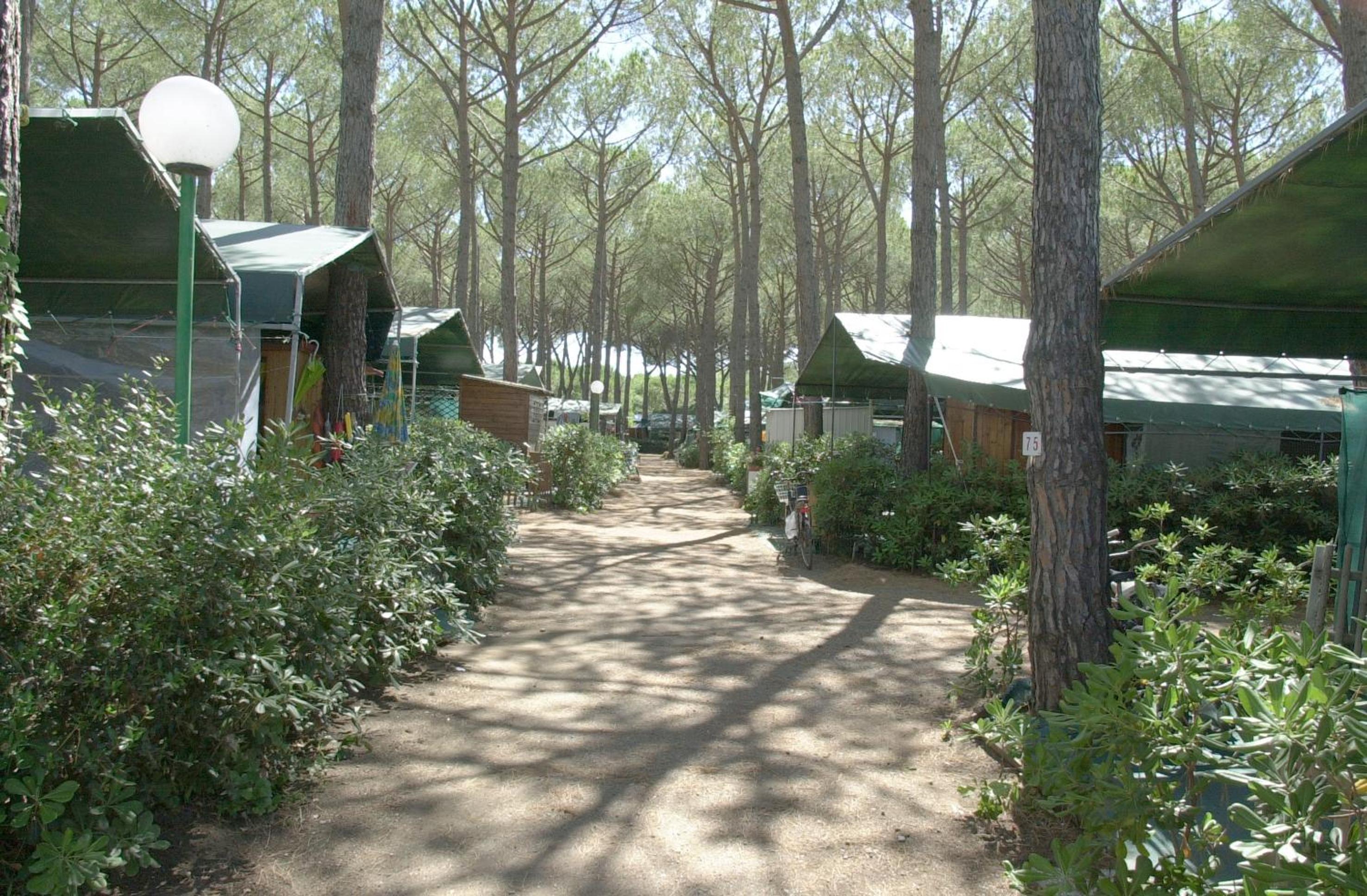 Camping Free Beach