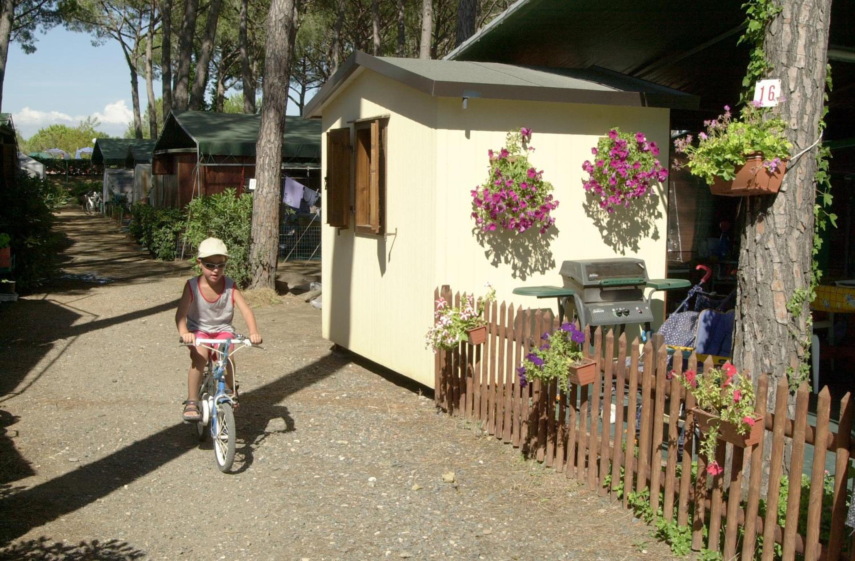Camping Free Beach