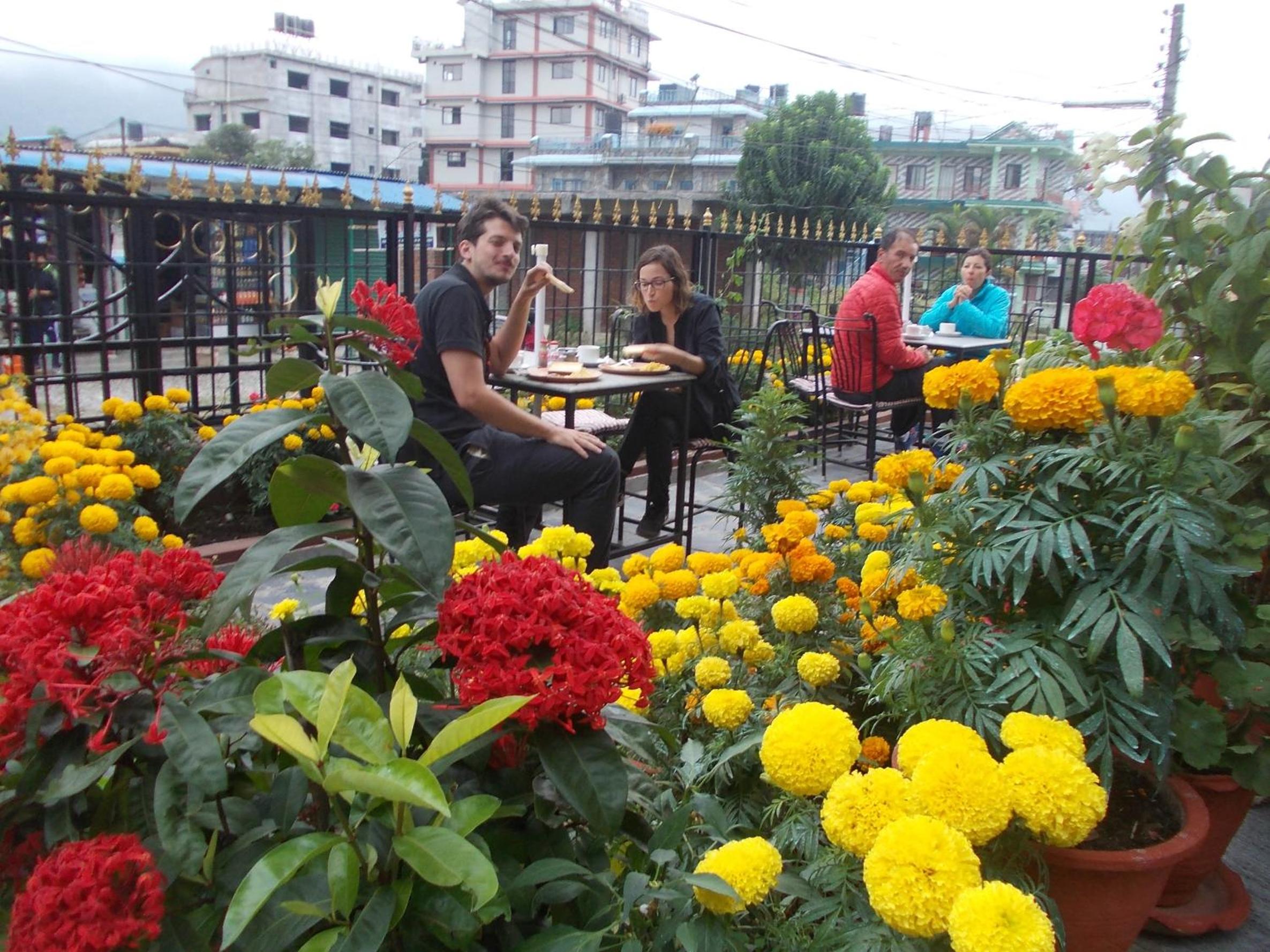 Harvest Moon Guest House