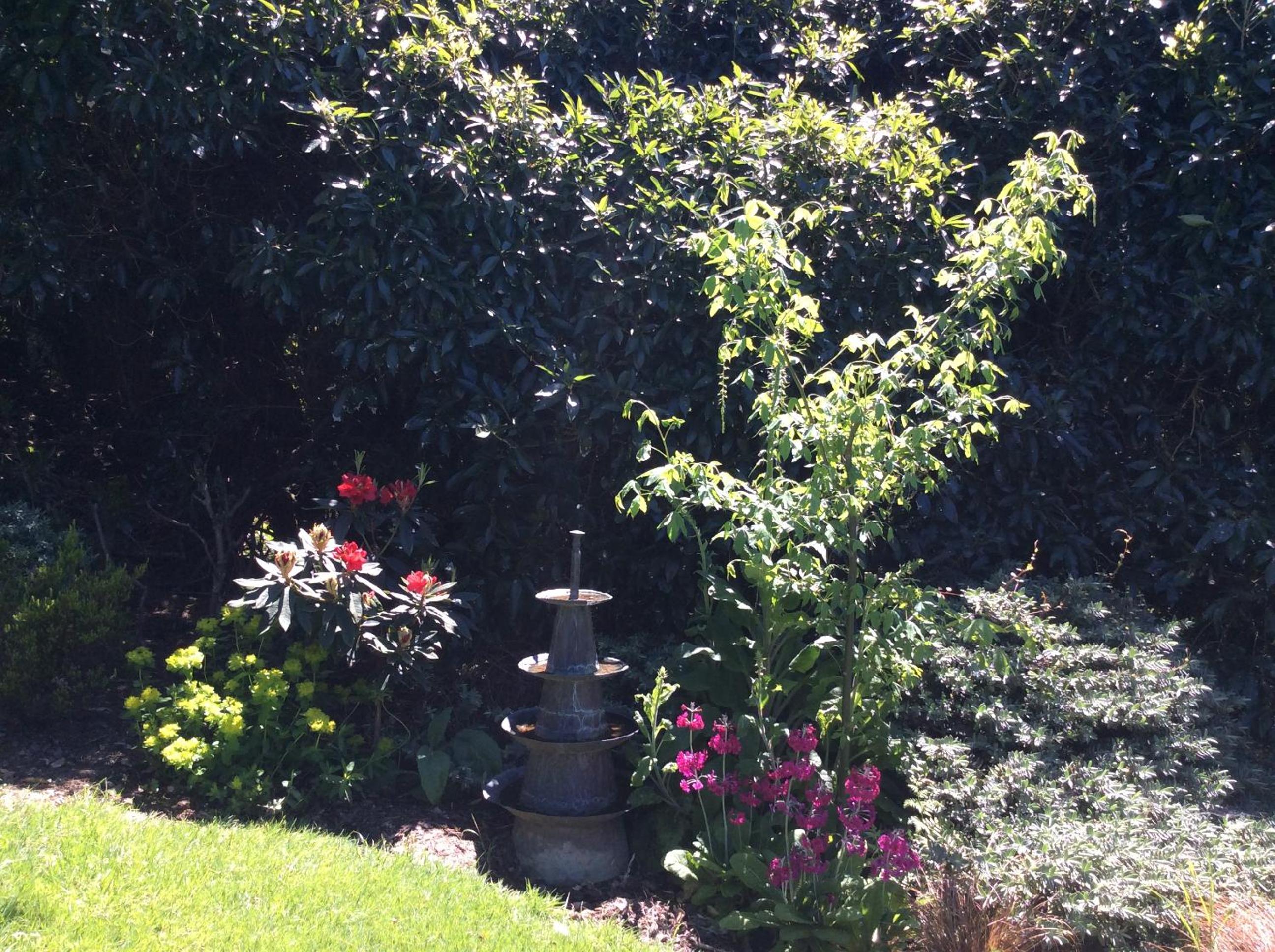 Photo 10