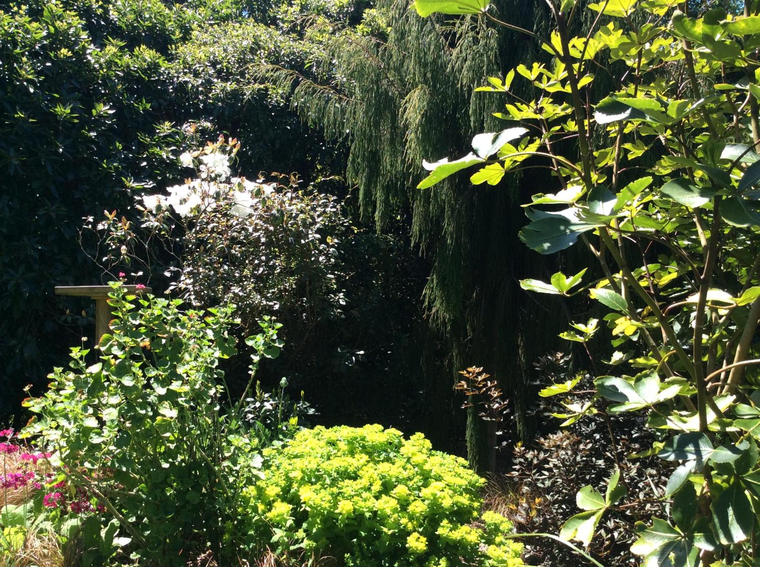 Photo 11