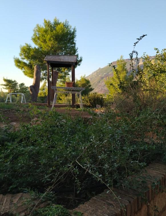 Photo 48