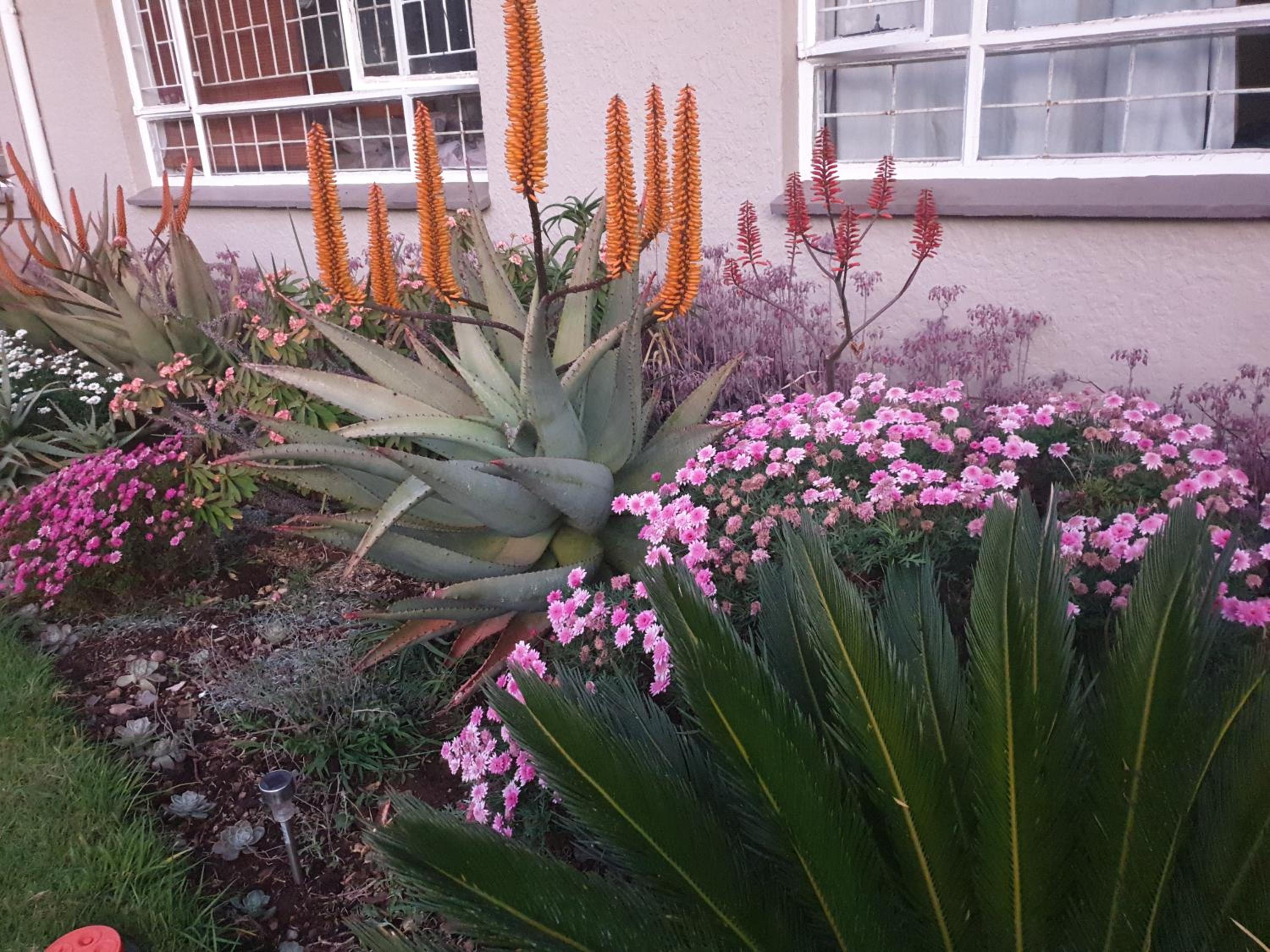 Abby Rose Guesthouse