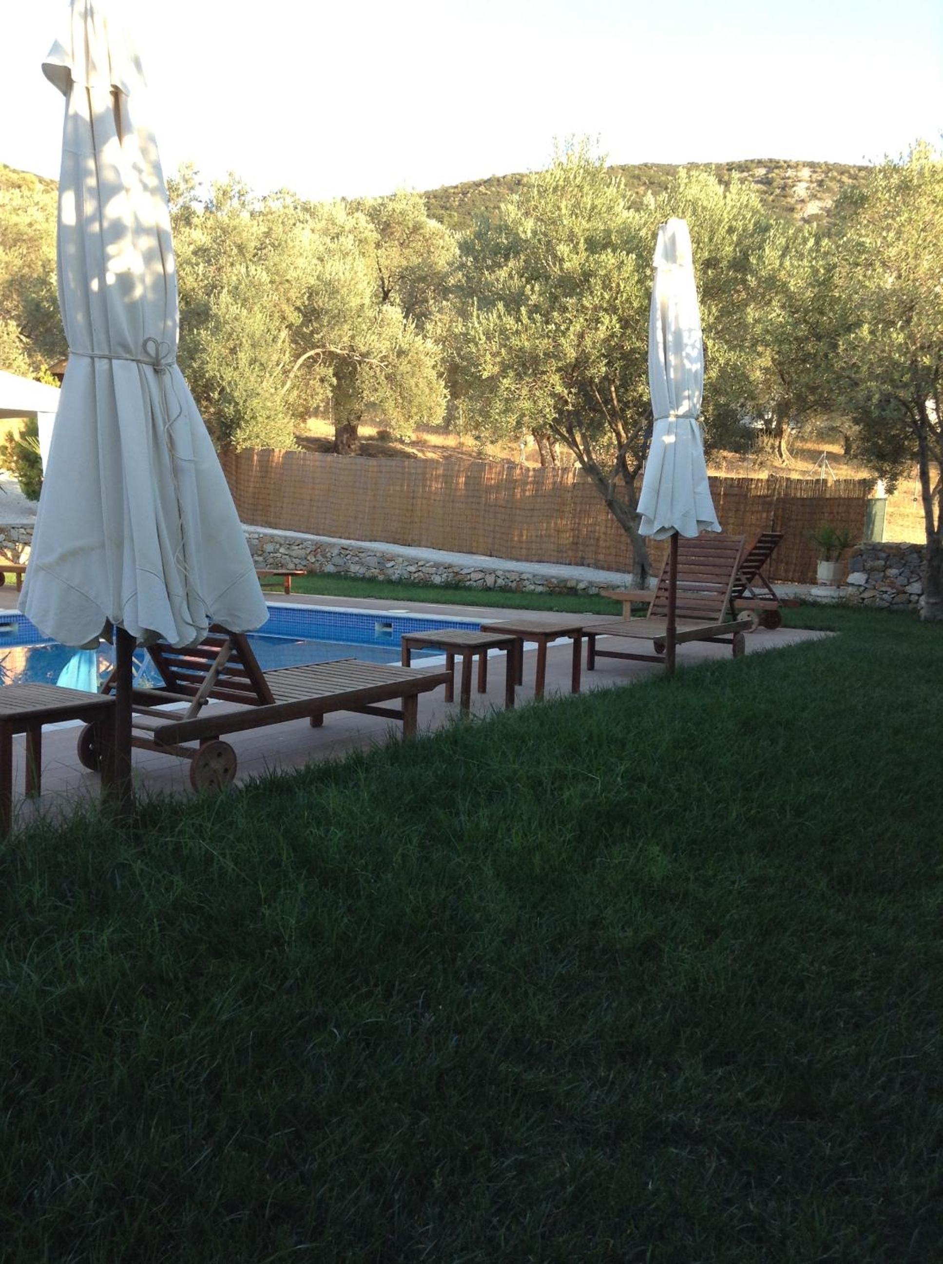 Photo 43