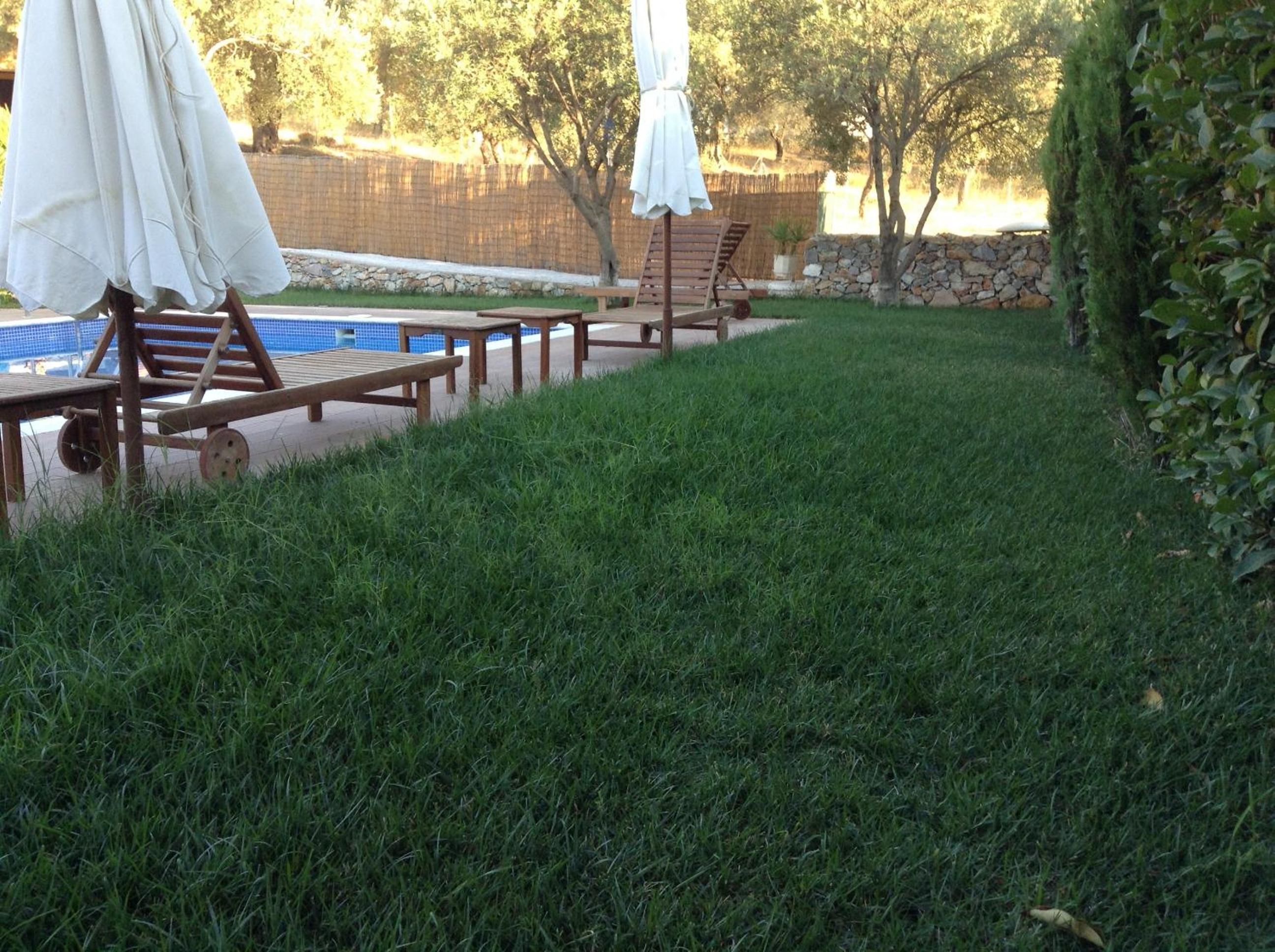 Photo 44