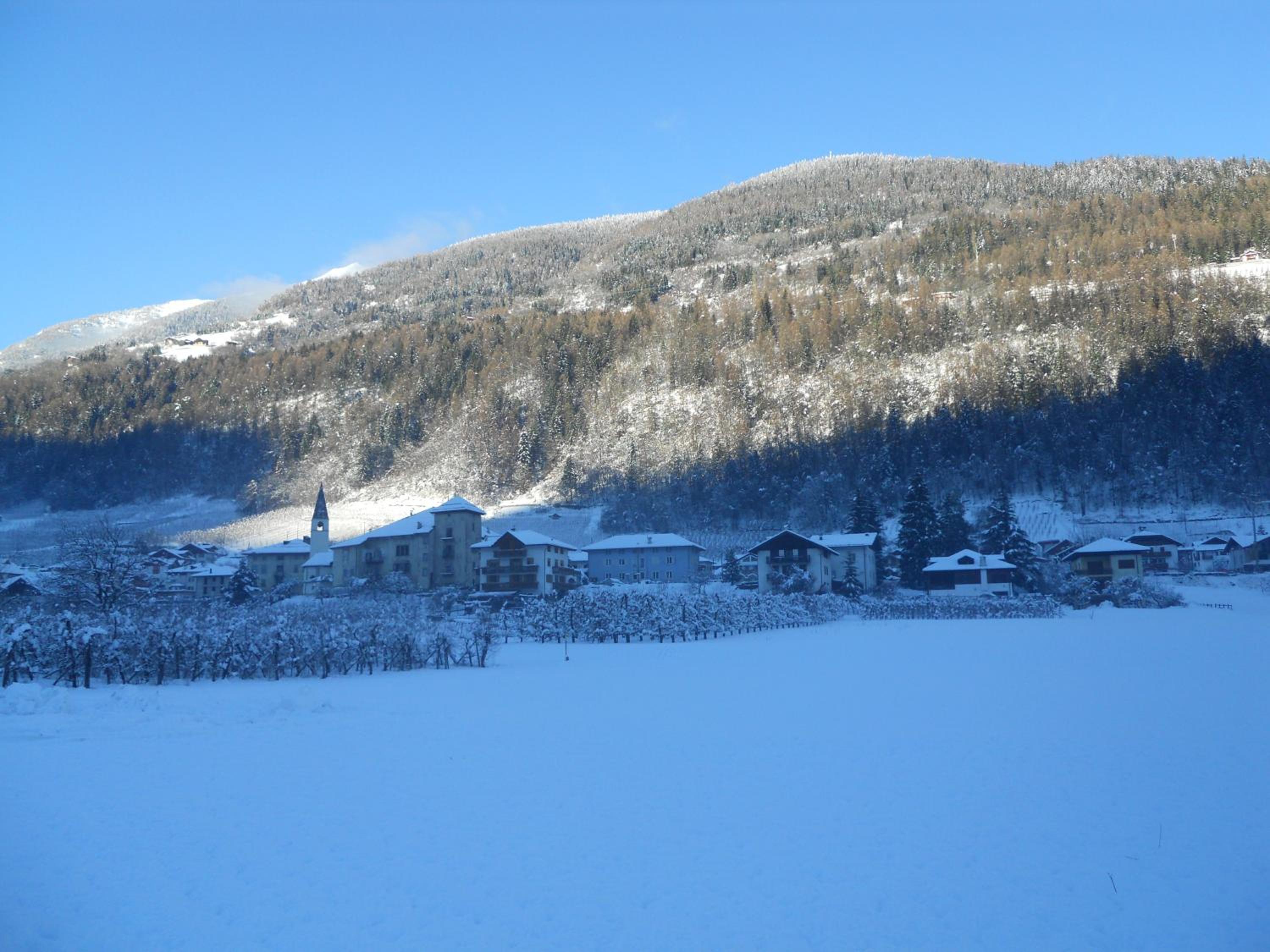 Angeli Dolomiti House view 4