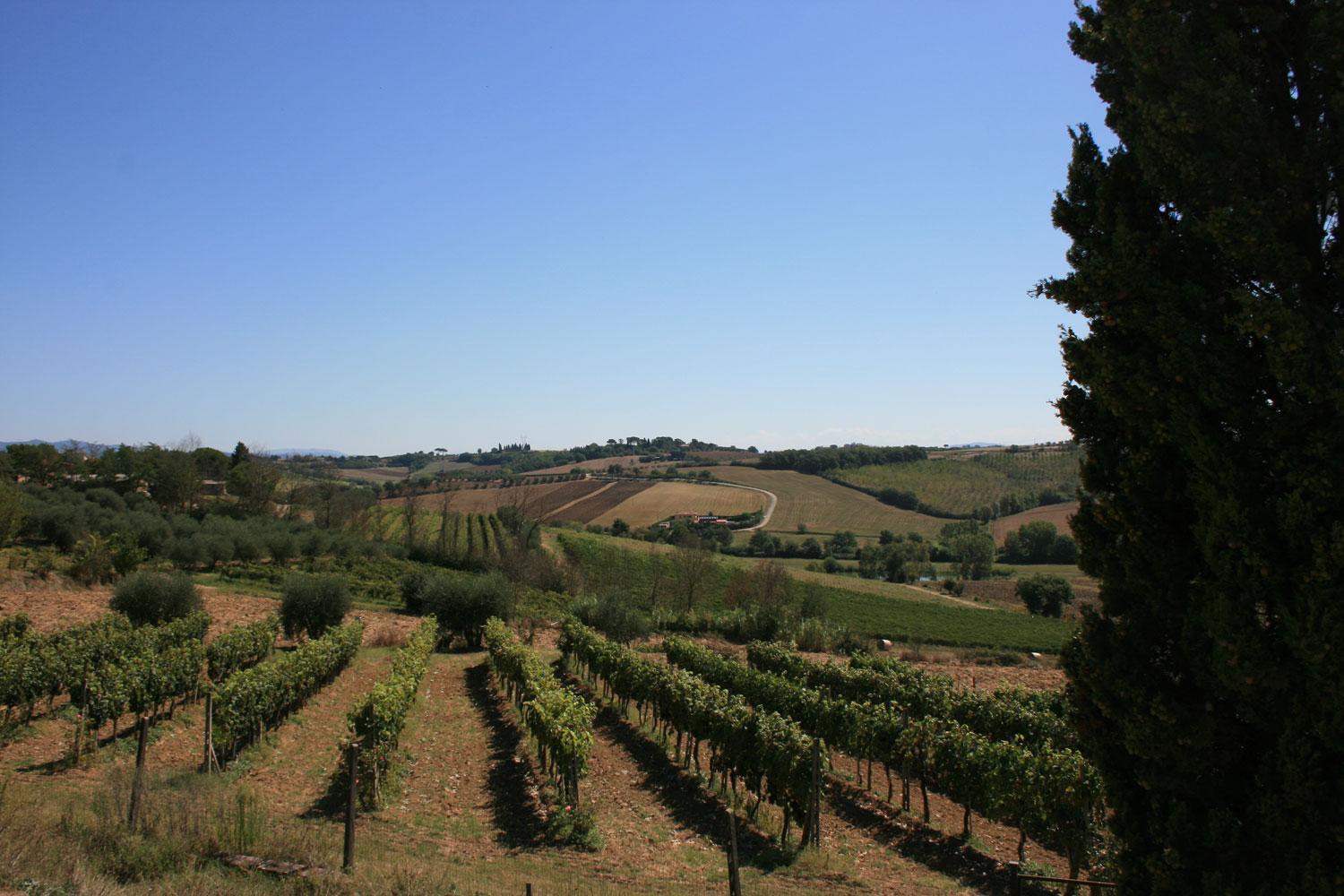 Fattoria Le Chianacce