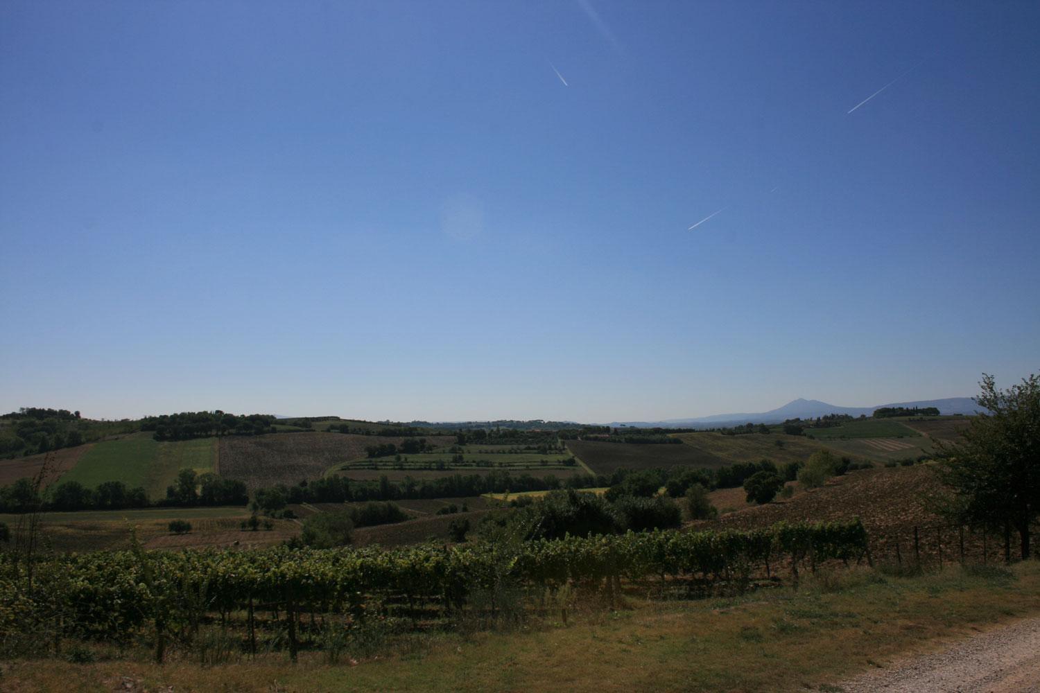 Fattoria Le Chianacce