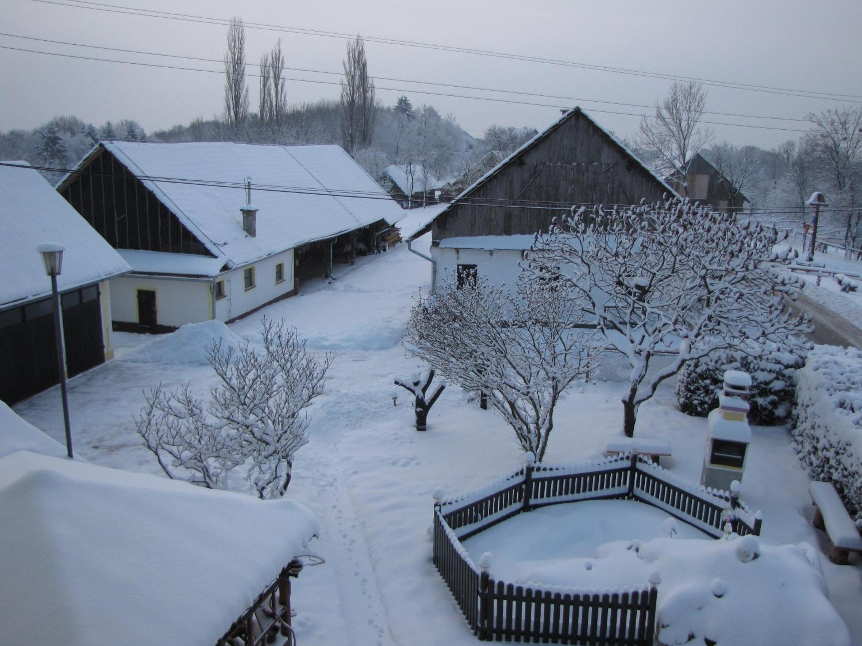 Photo 24