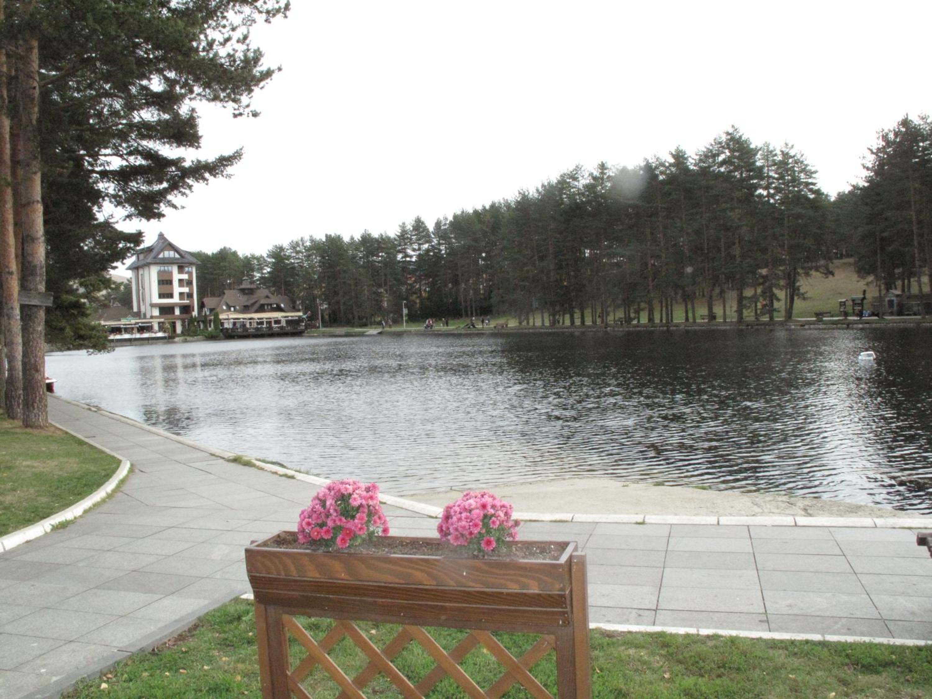 Photo 41
