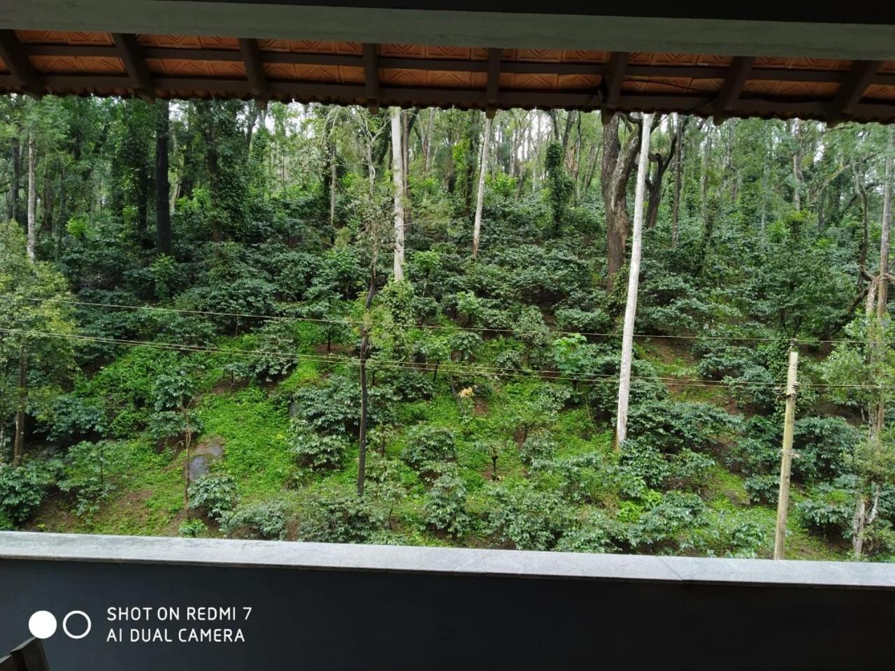 Kwality Estate view 5