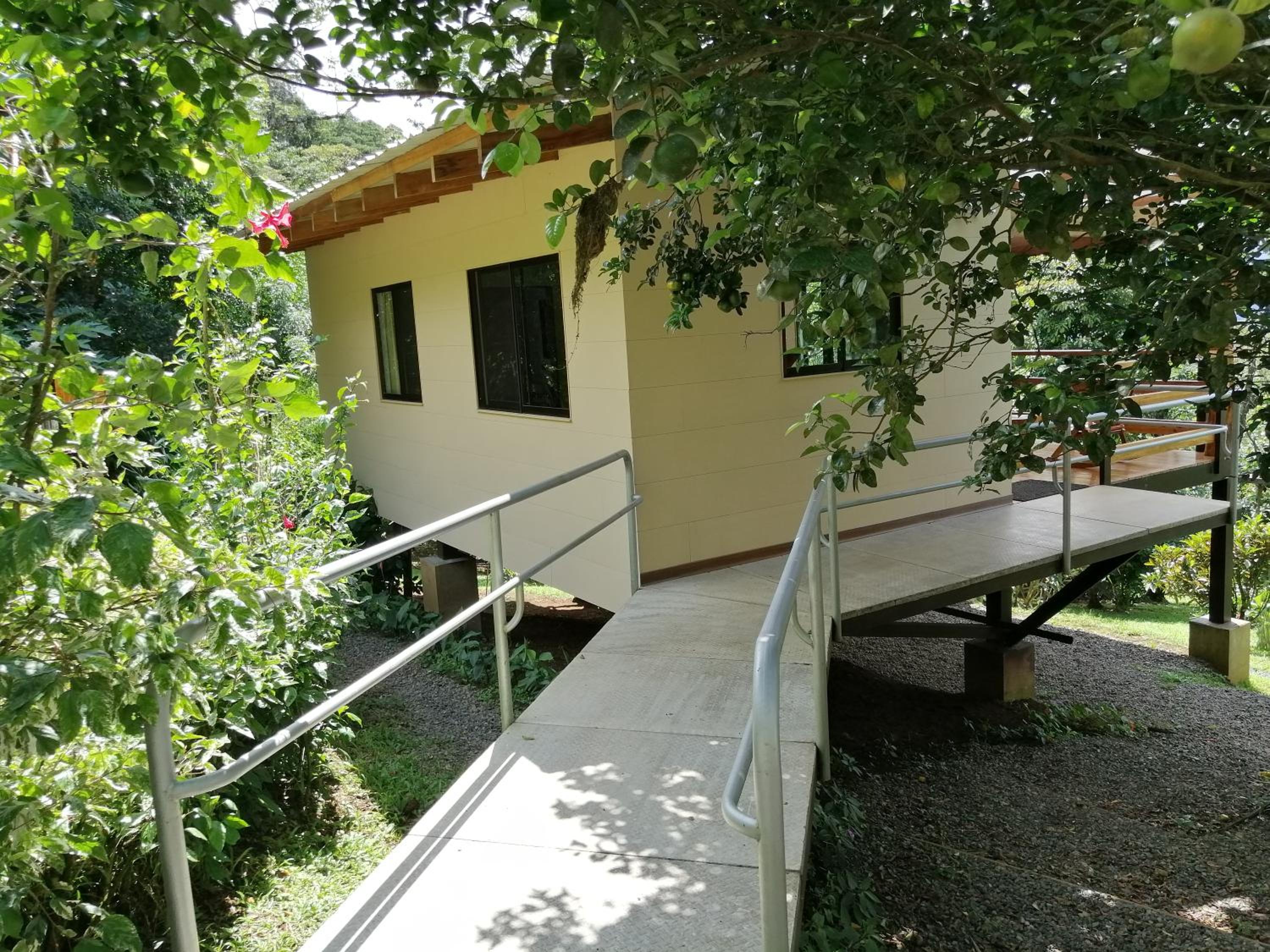 Photo 11