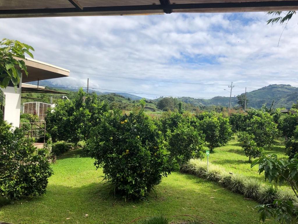 Posada Cañaveral