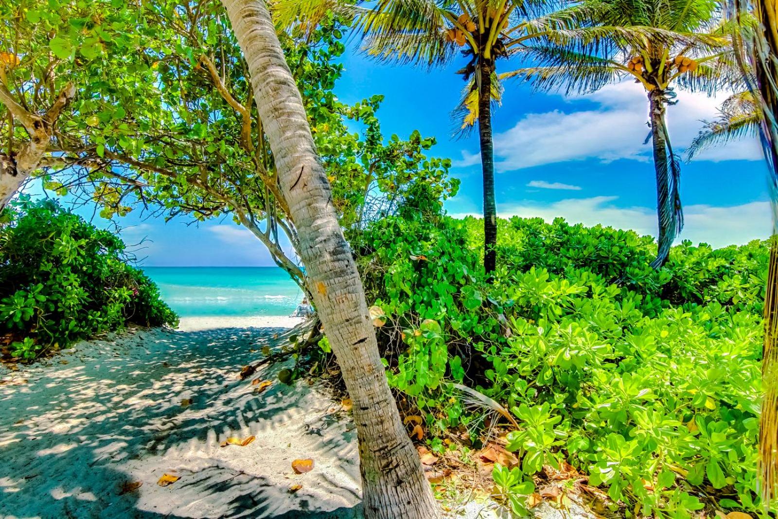 Castle Th16 Beachfront Townhouse with private patio, direct beach access, pool, tennis & free parking! view 3
