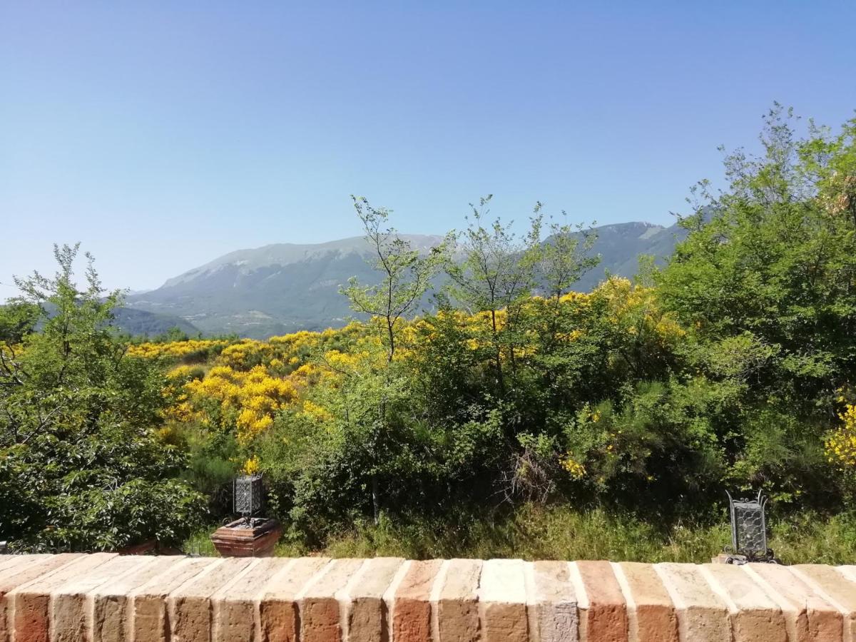 Luci sui Monti view 3