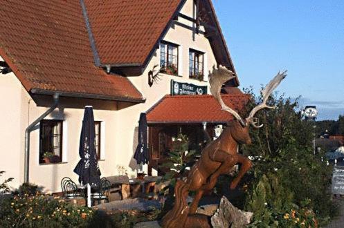Ferienwohnung im Nationalpark Jasmund
