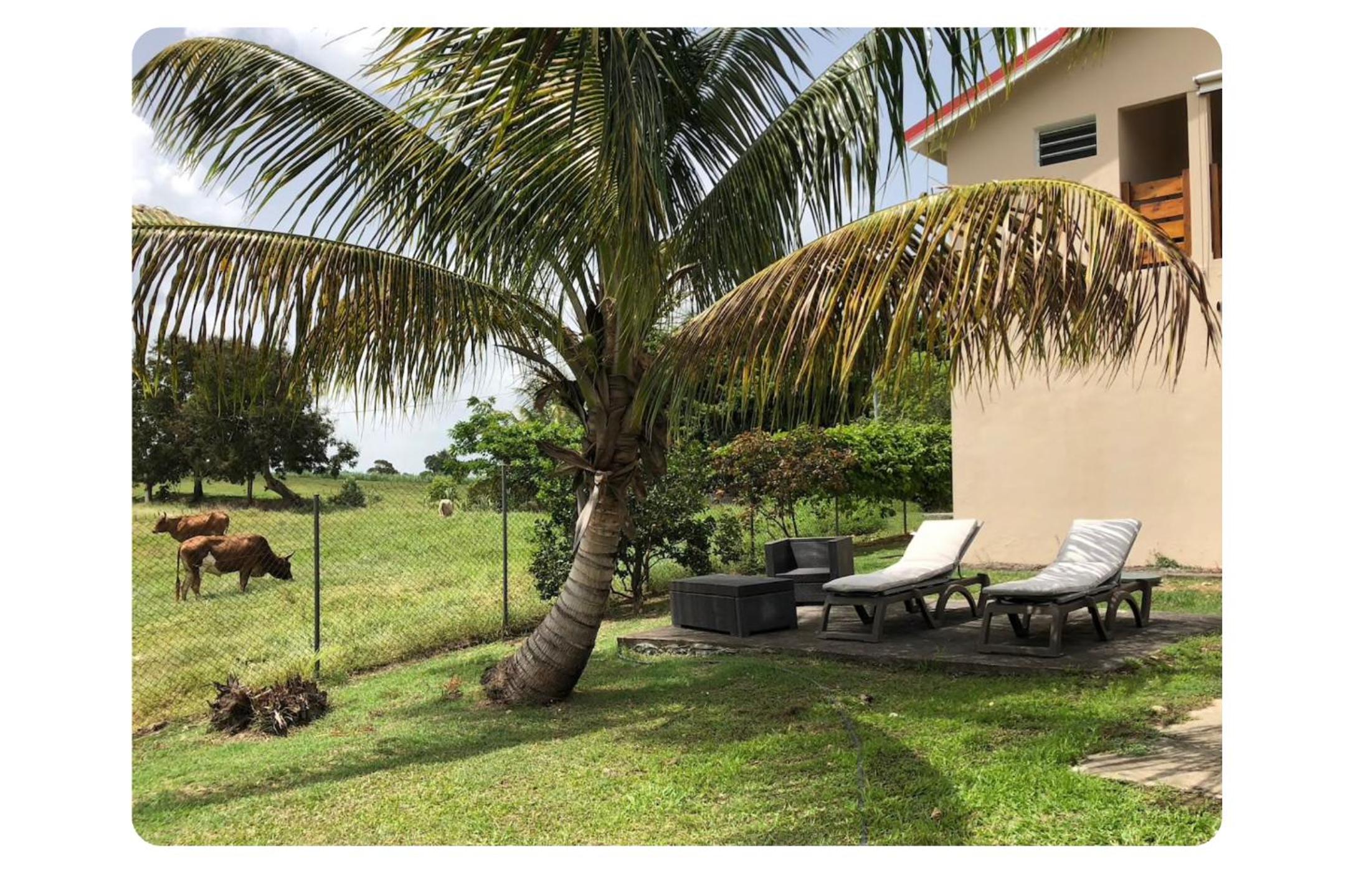 Loft Paradis