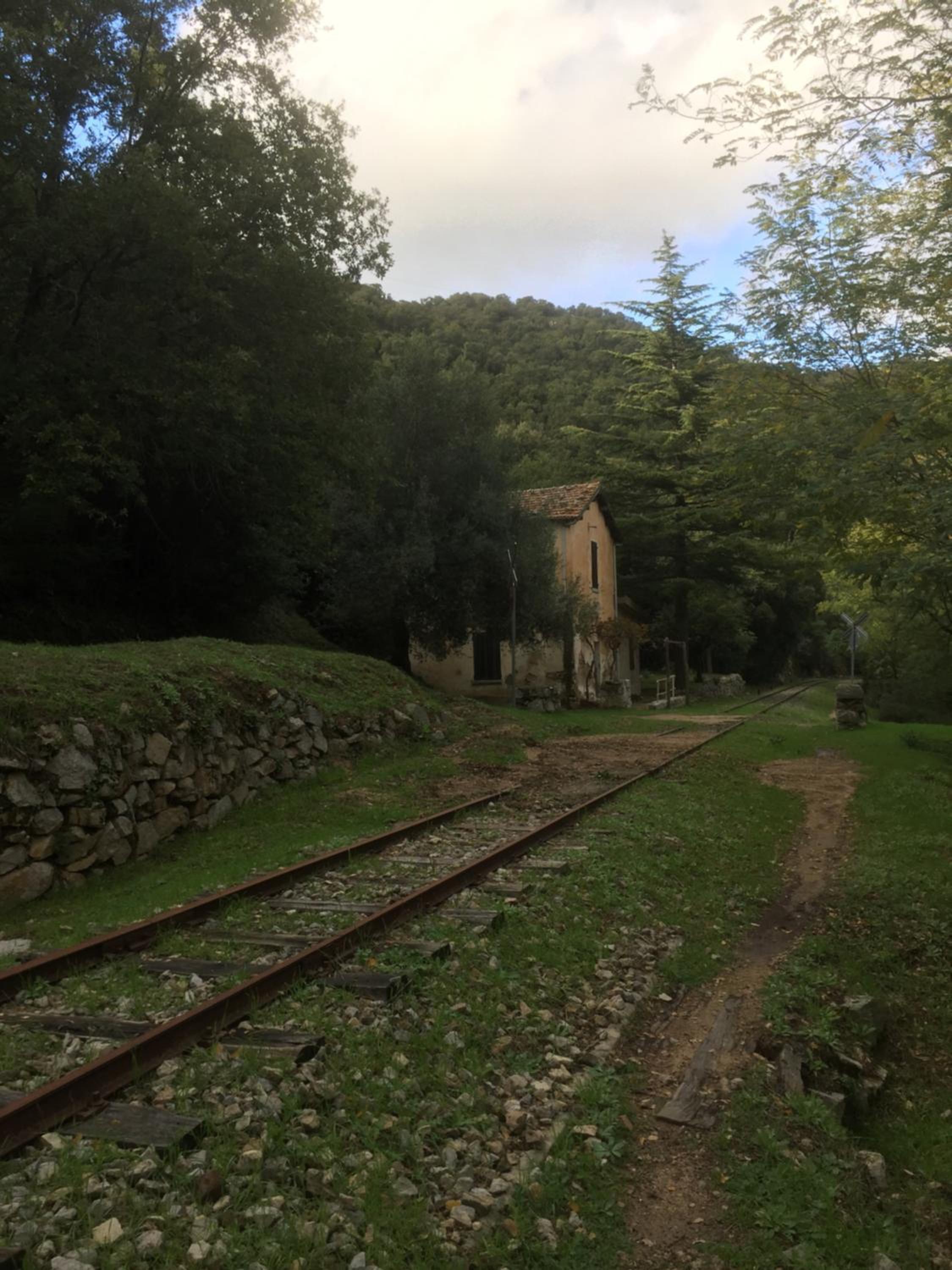 Photo 33