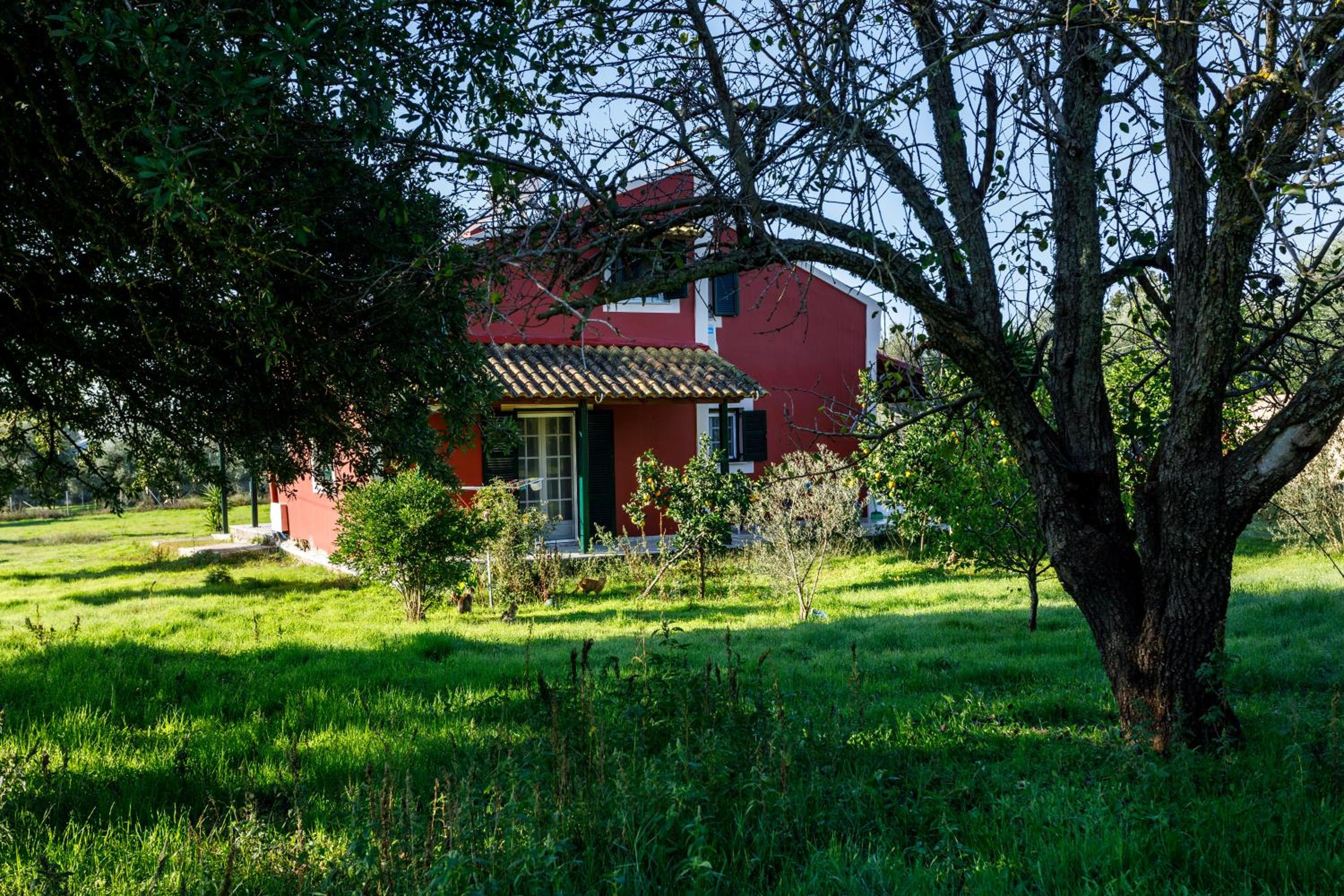 Photo 40
