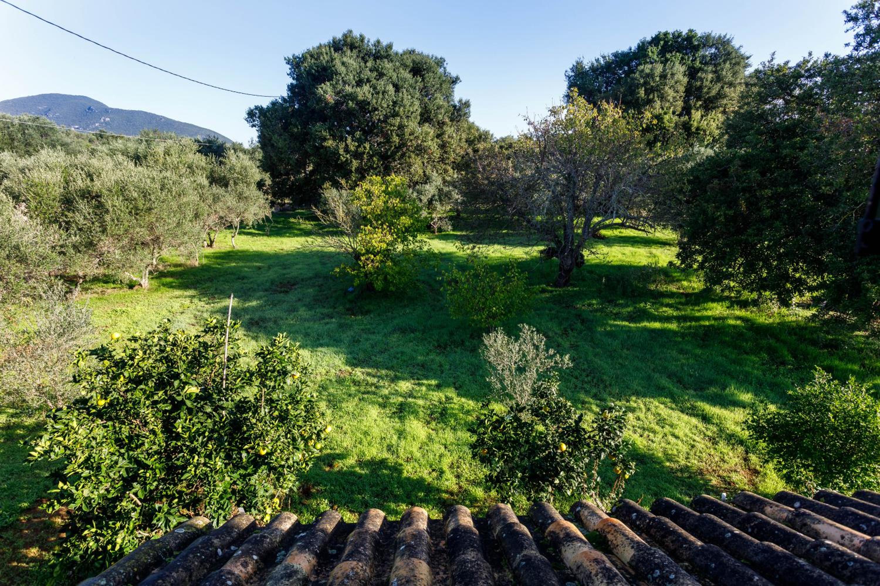fridas place view 3