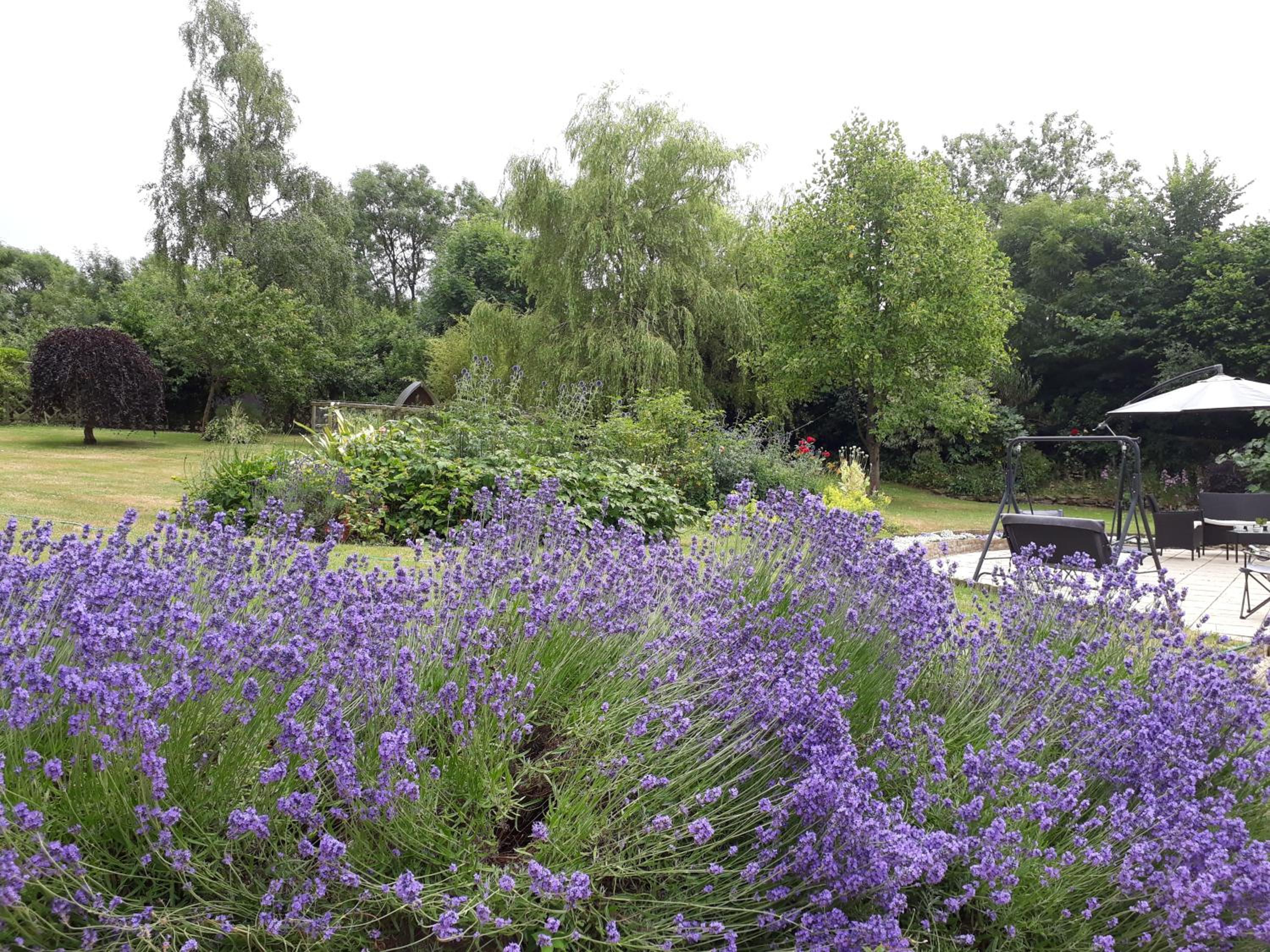 Stoneleigh Barn Bed and Breakfast view 5