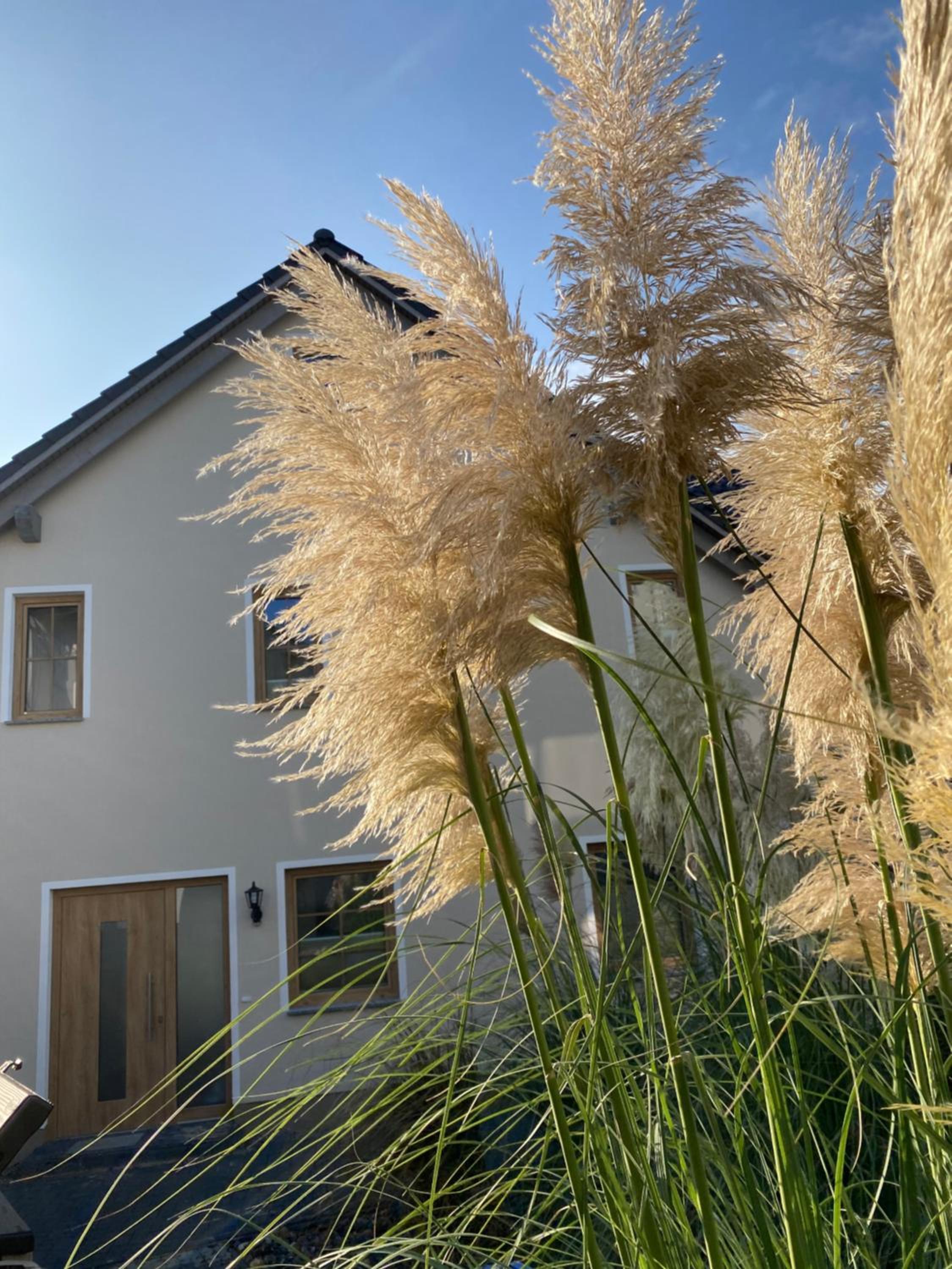 Kapitänshaus Sellin mit Sauna und Kamin
