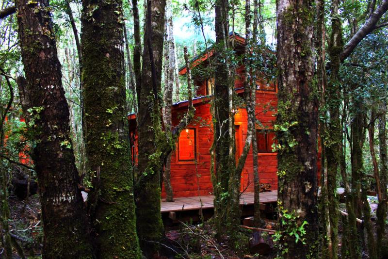 Cabañas Bosque Milenario view 2