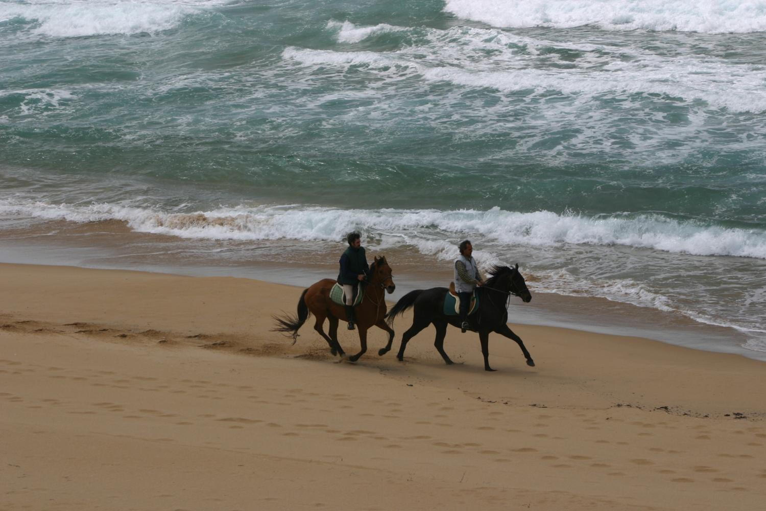 Centro di Turismo Equestre SHANGRILA' view 2