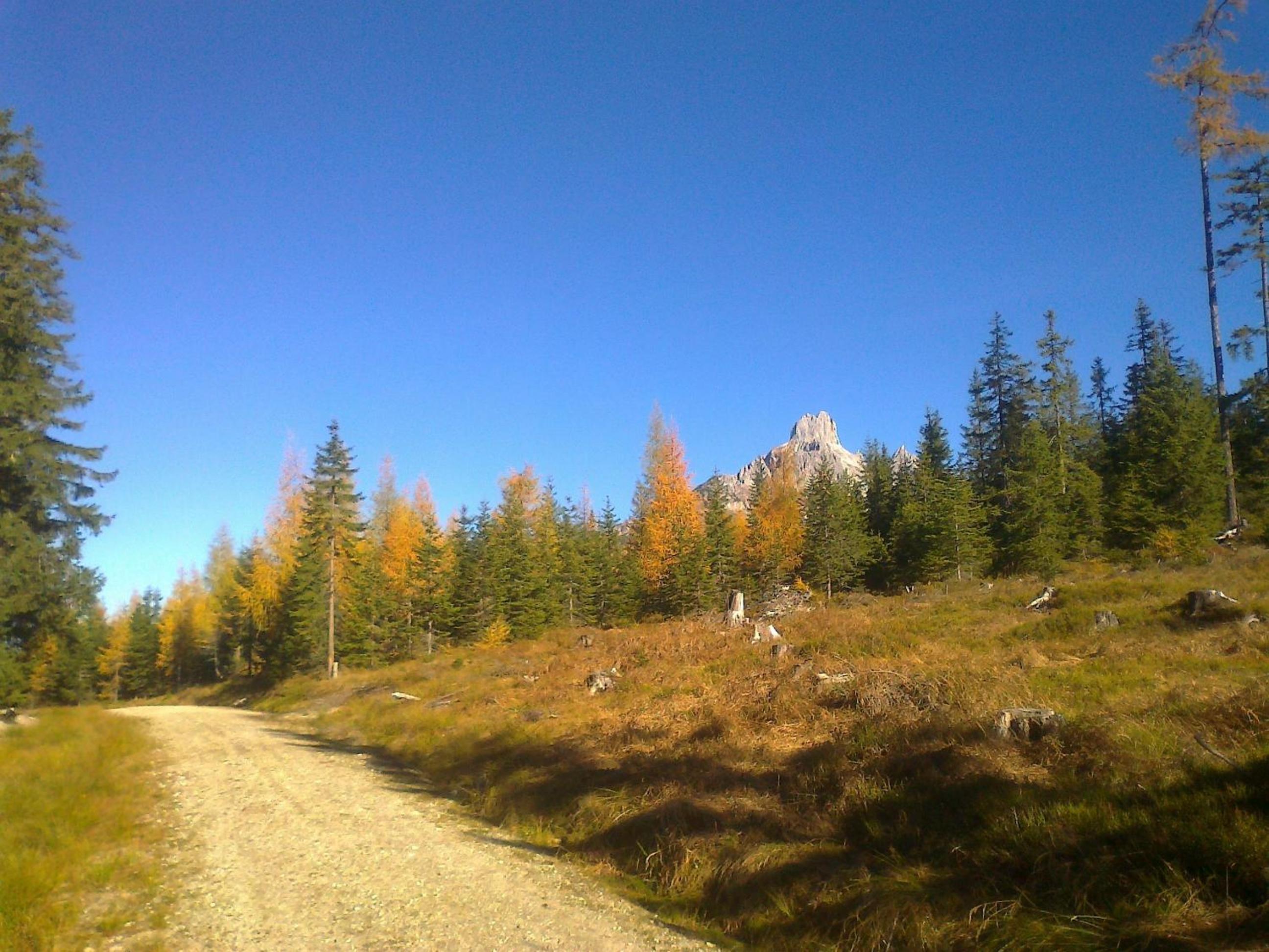 Photo 49