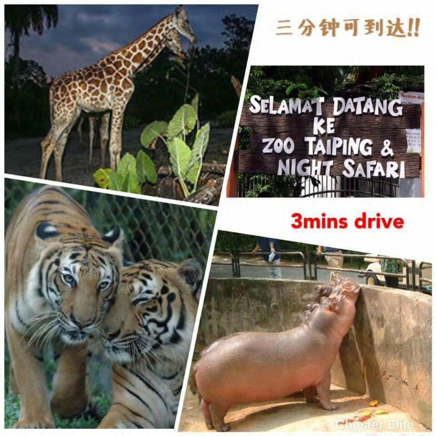 Taiping Vacation Home view 2