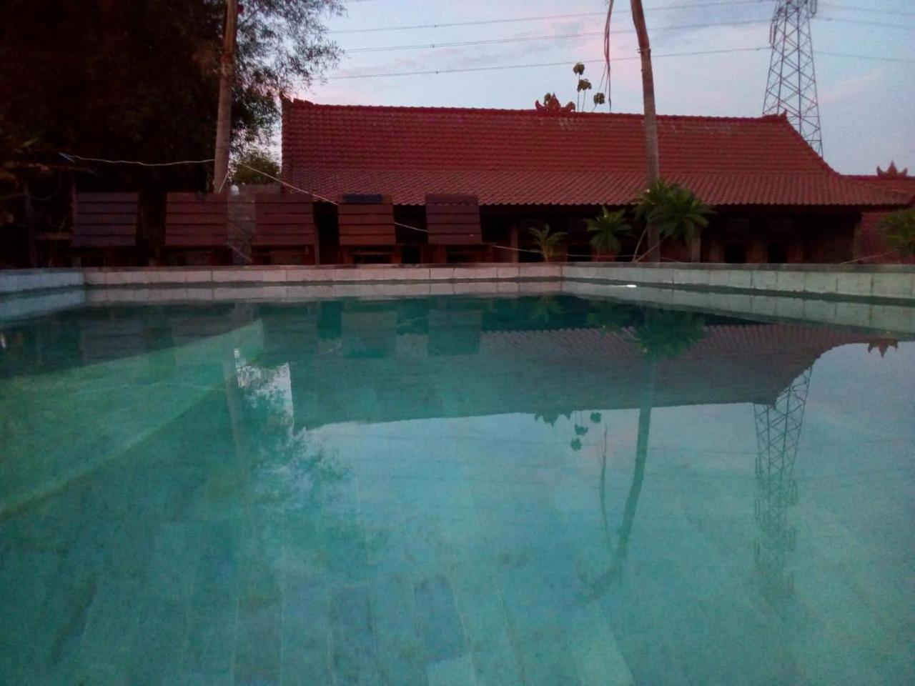 Photo 48