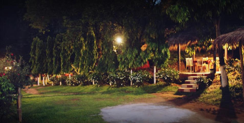 garden